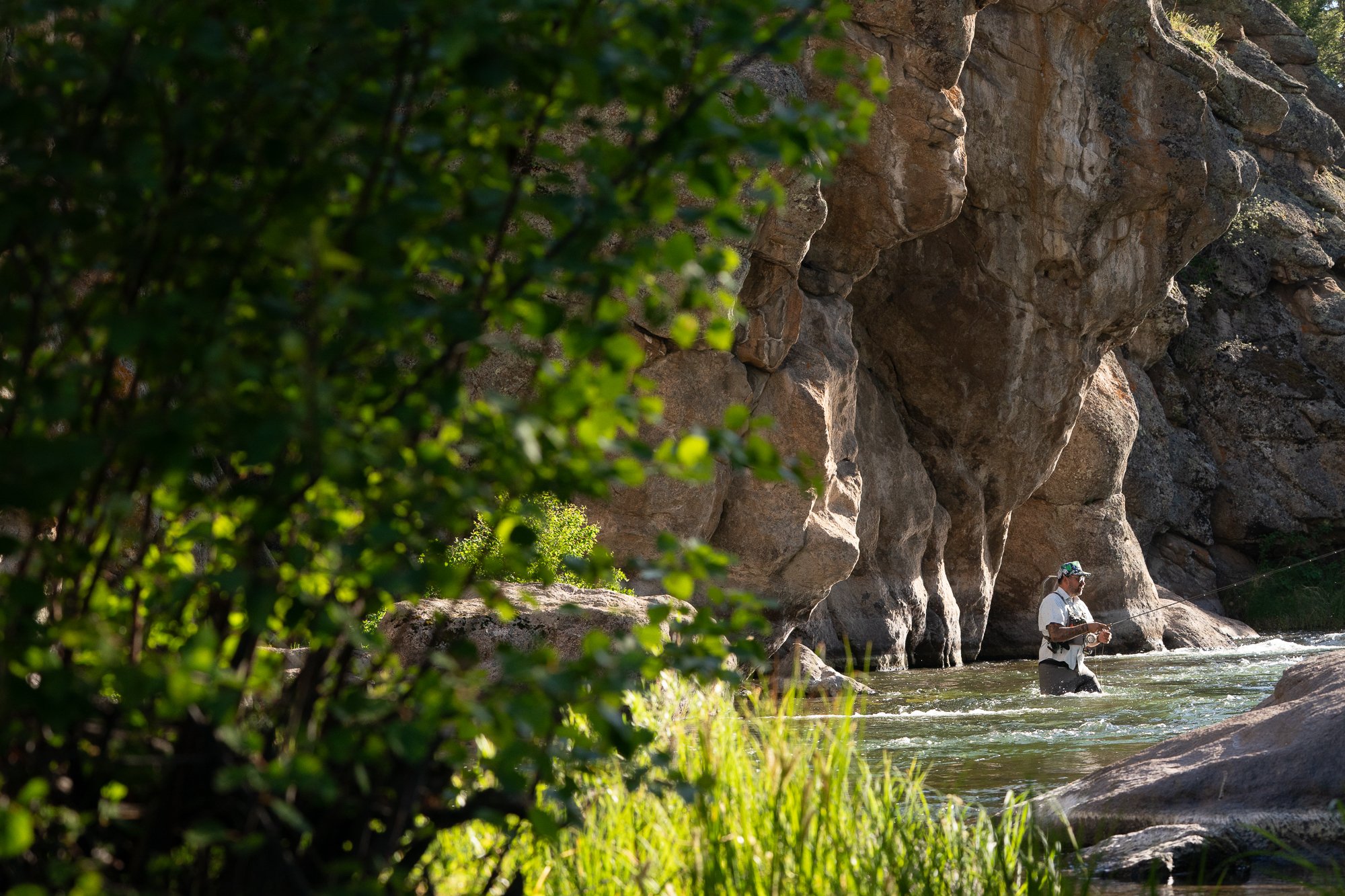 A lone fly fisherman stands in the South Platte River surrounded by granite cliffs and pine forest in 11 Mile Canyon, Colorado.