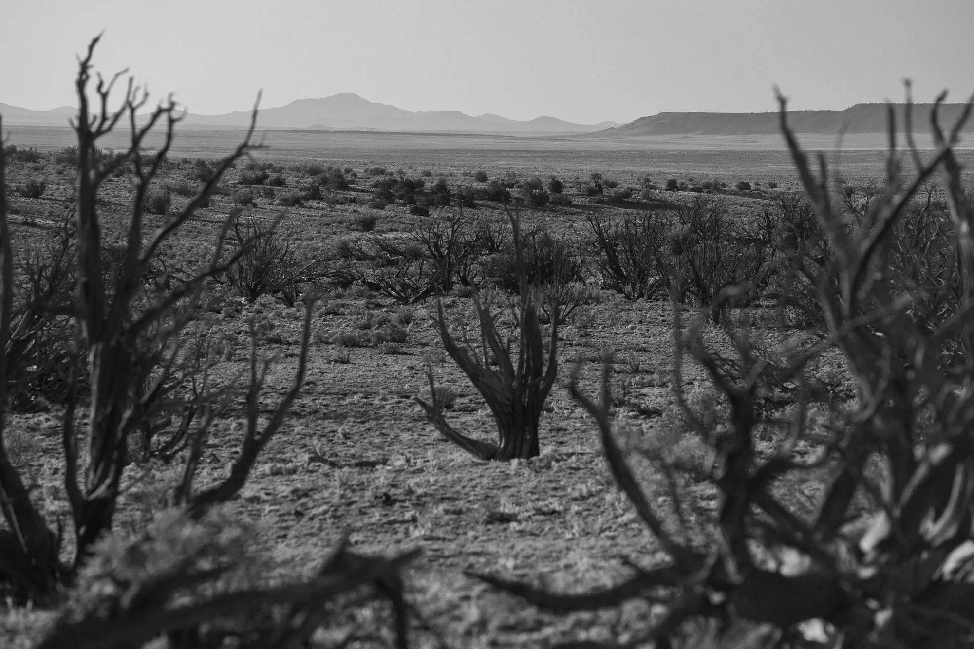 Open Arizona ranch landscape with desert brush and distant mountains