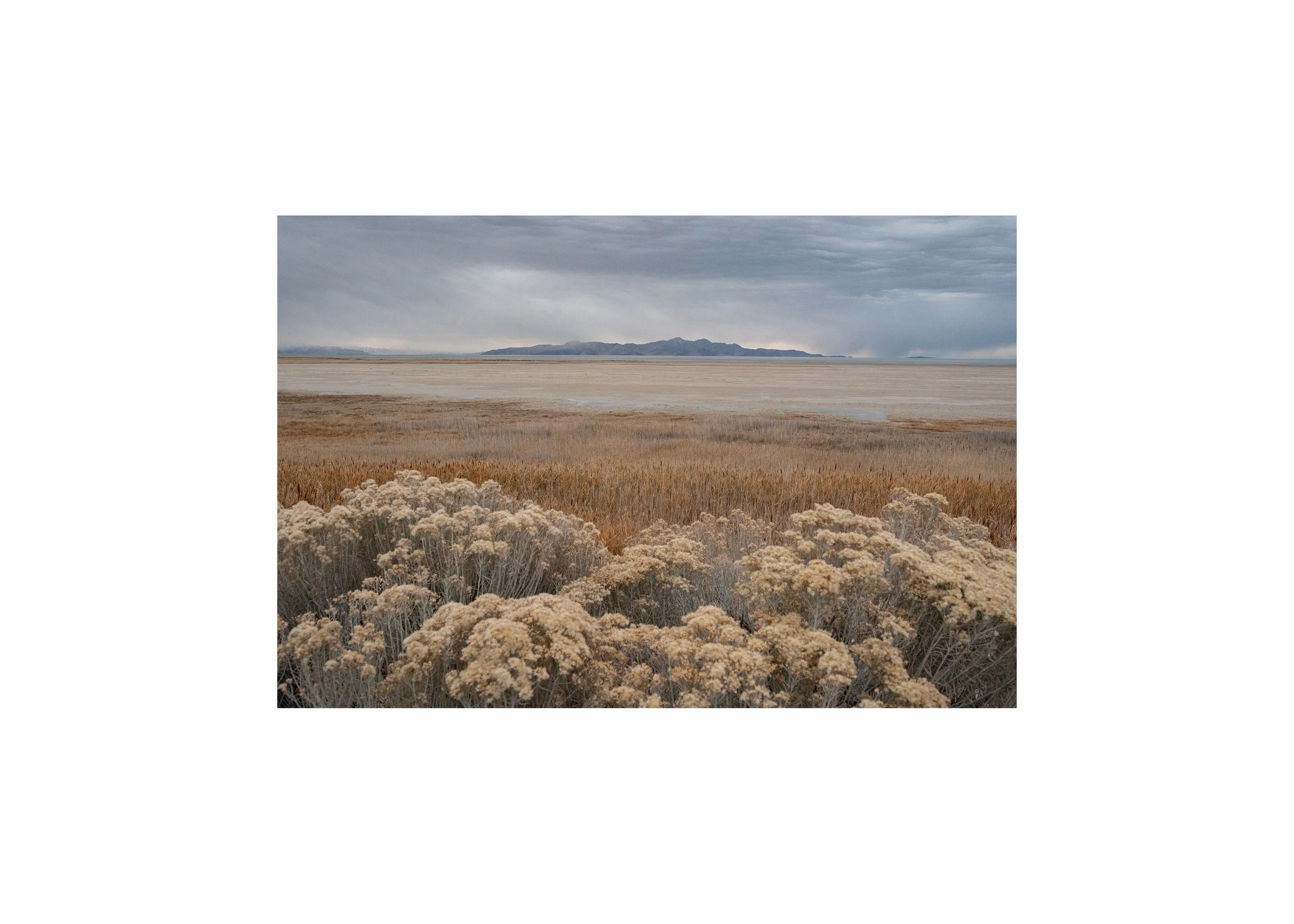 Minimalist fine art print of the Great Salt Lake capturing natural textures and organic forms