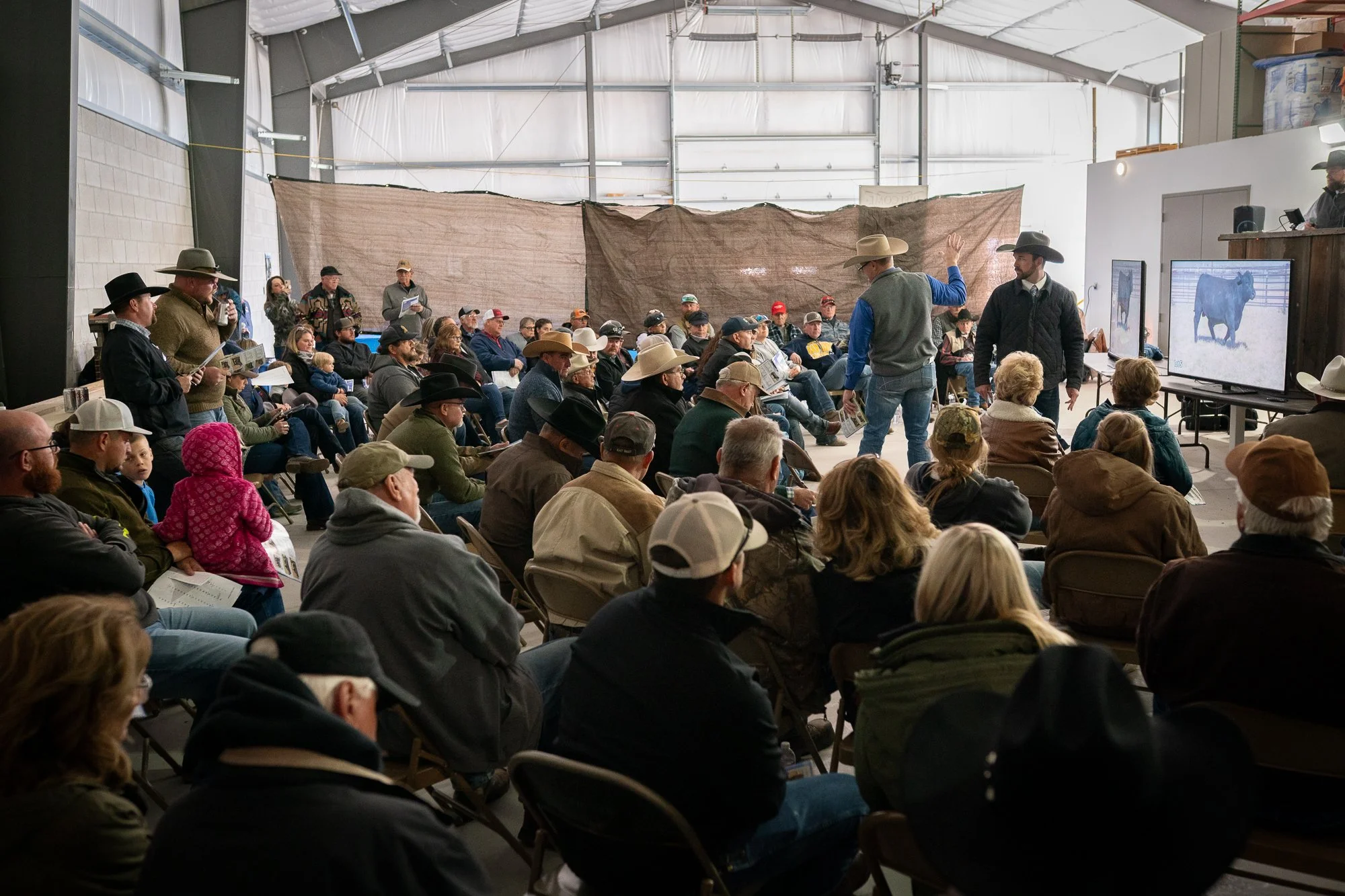 Crowd seated inside a bull sale auction in Gardnerville Nevada