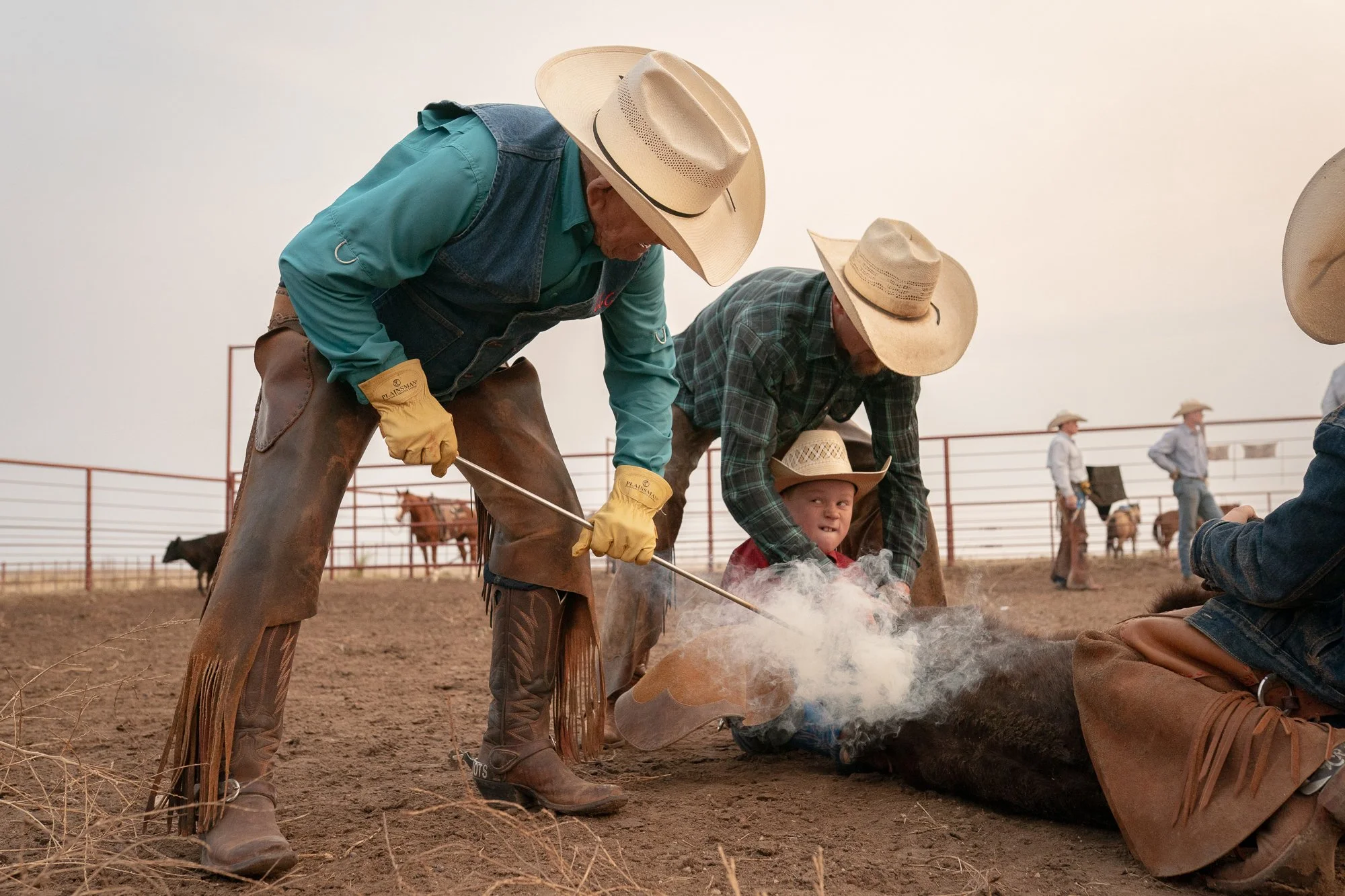 Young boy watching cowboys brand a calf inside the pens at the 6666 Ranch in Texas.