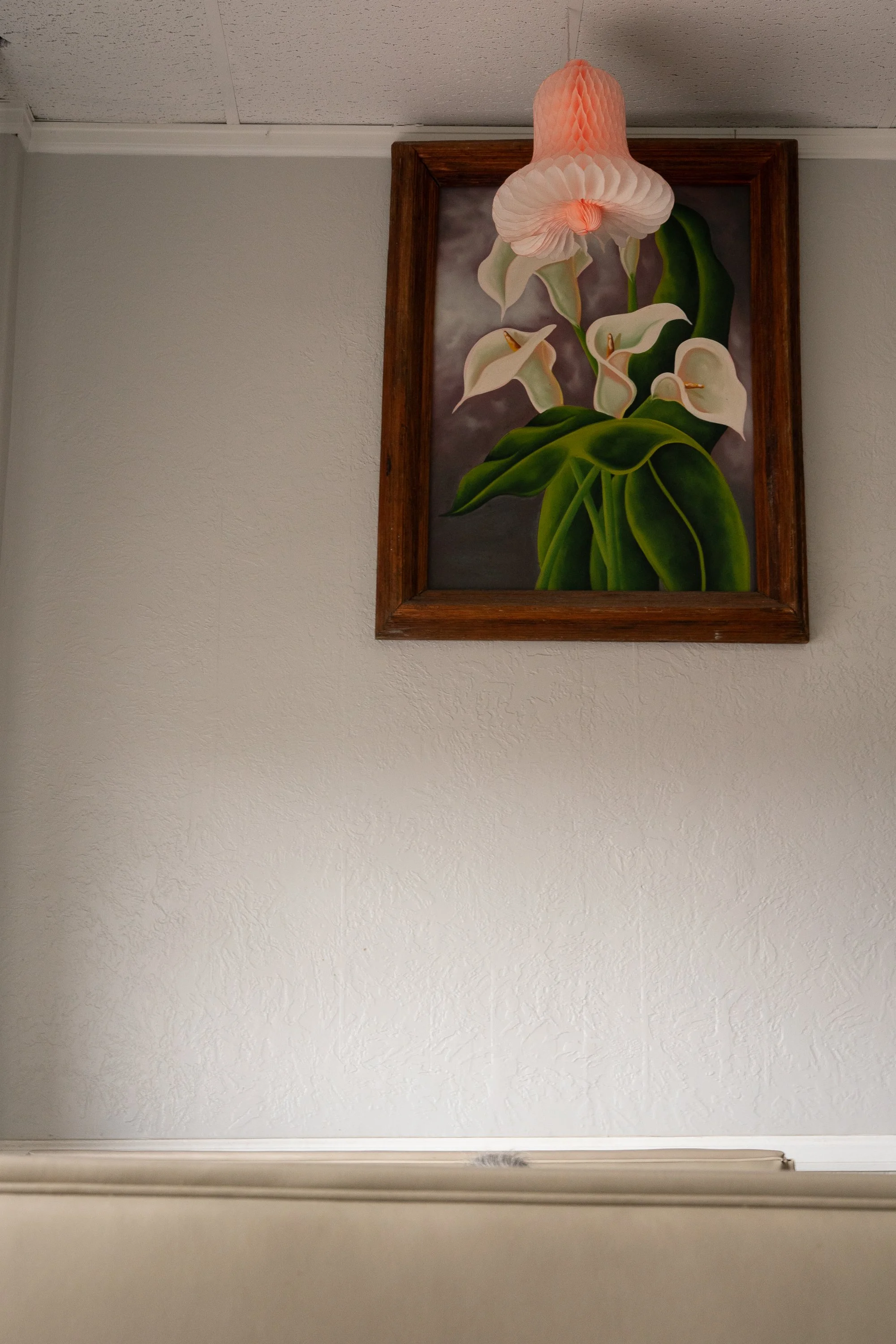 Framed calla lily painting hanging on a wall inside a room in Rock Springs Wyoming
