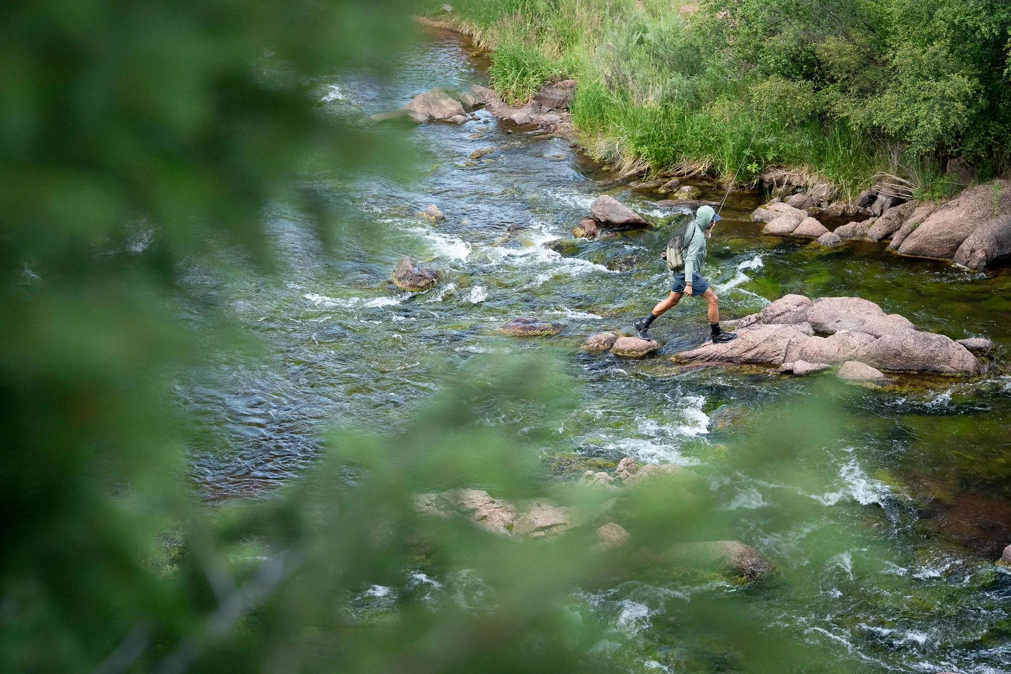 Angler crossing rocky water while fly fishing on the South Platte River near Deckers