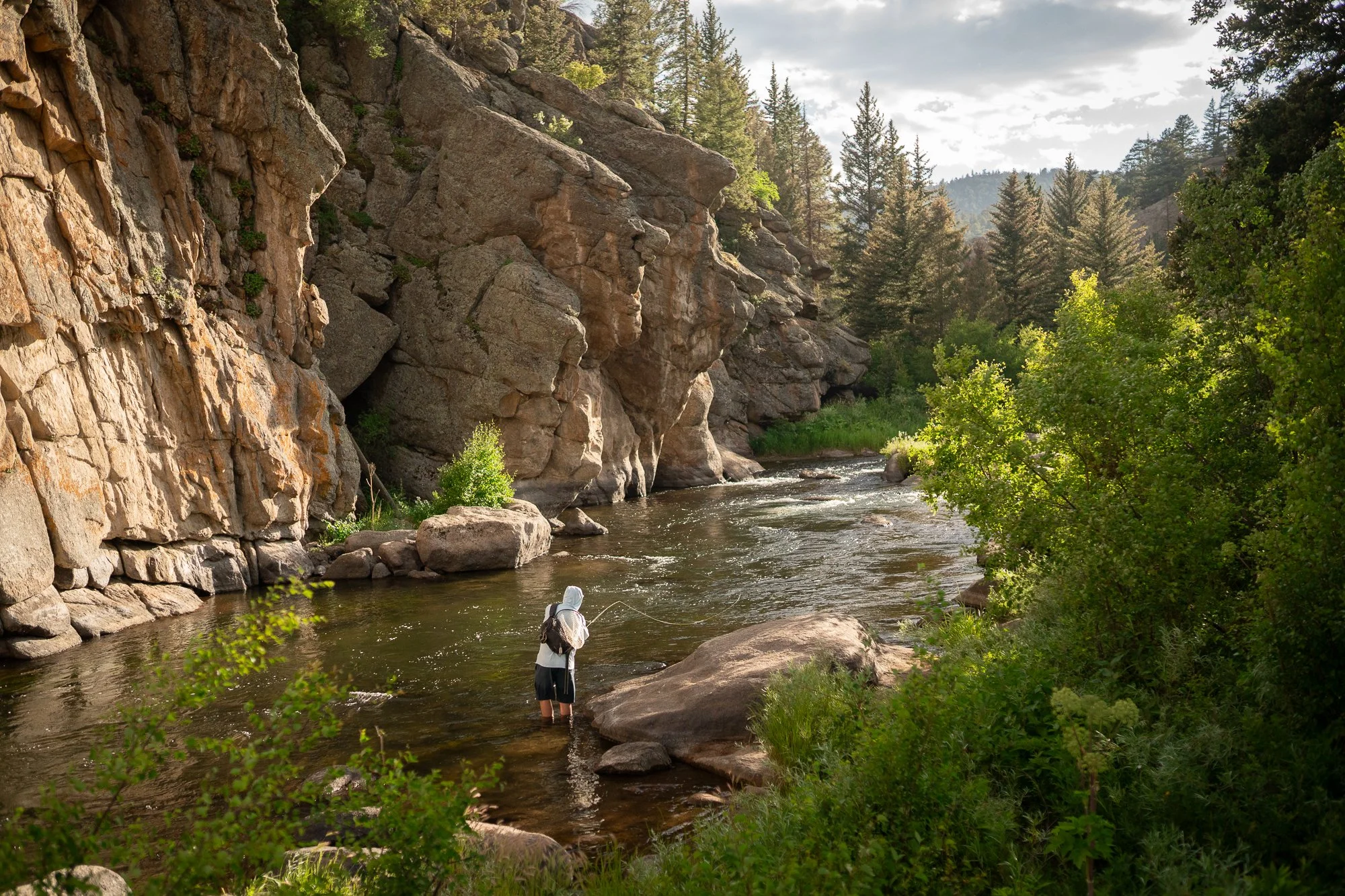 A fly fisherman casting into a scenic section of 11 Mile Canyon surrounded by beautiful granite walls