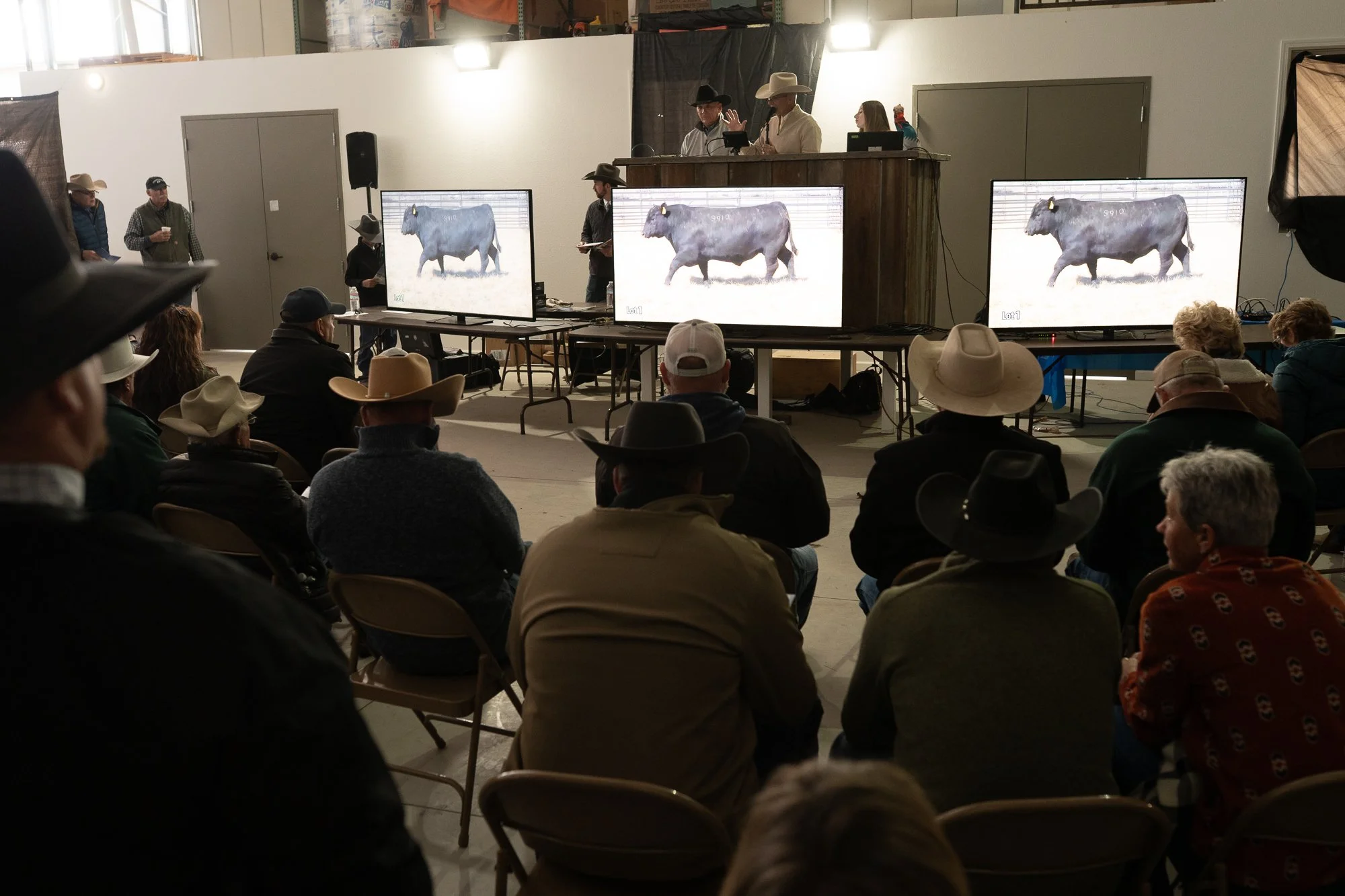 Ranchers seated during a Nevada bull sale with bull images shown on screens