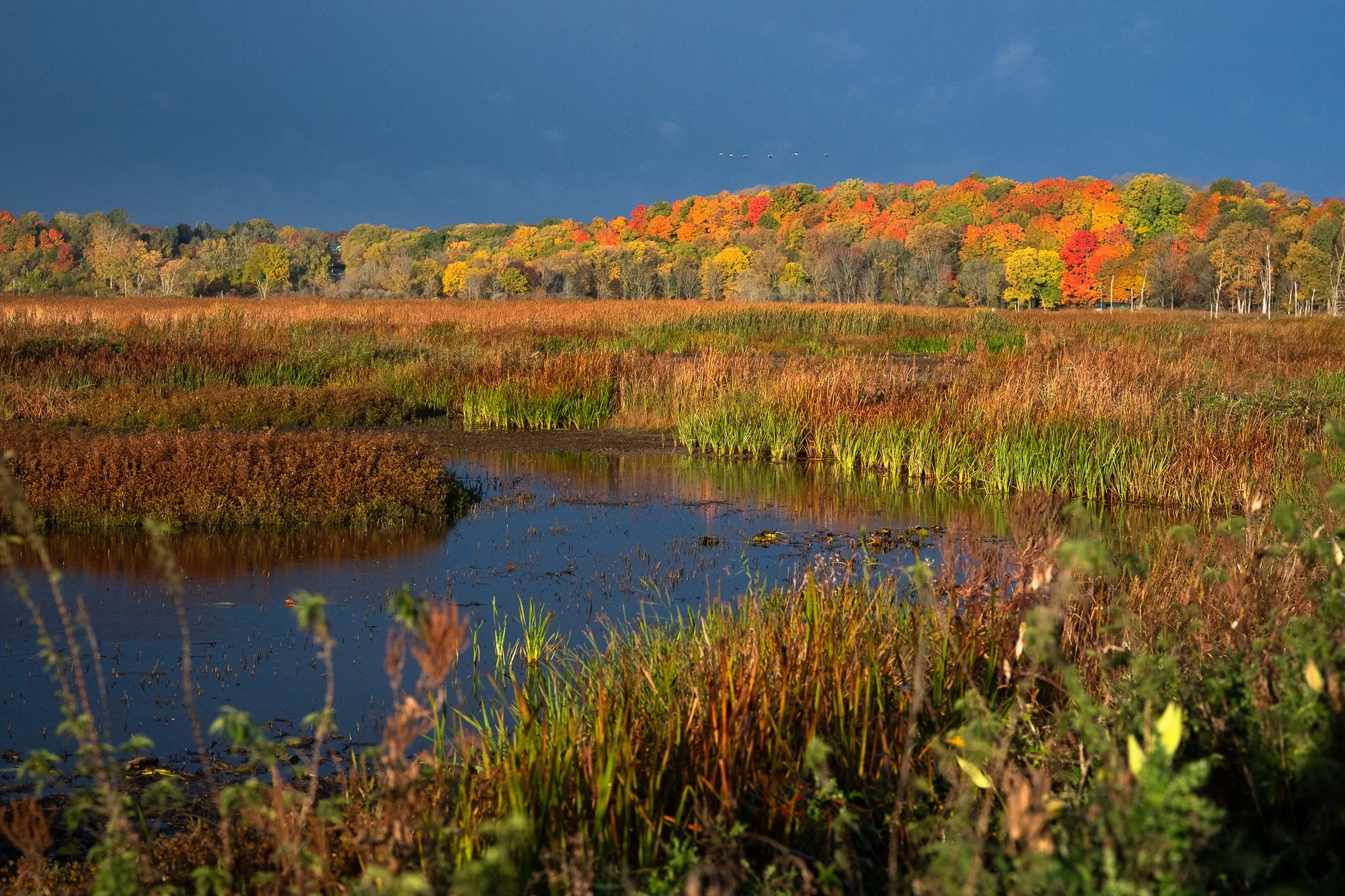 Autumn marshland stretches beneath storm clouds during waterfowl hunting season in Ontario