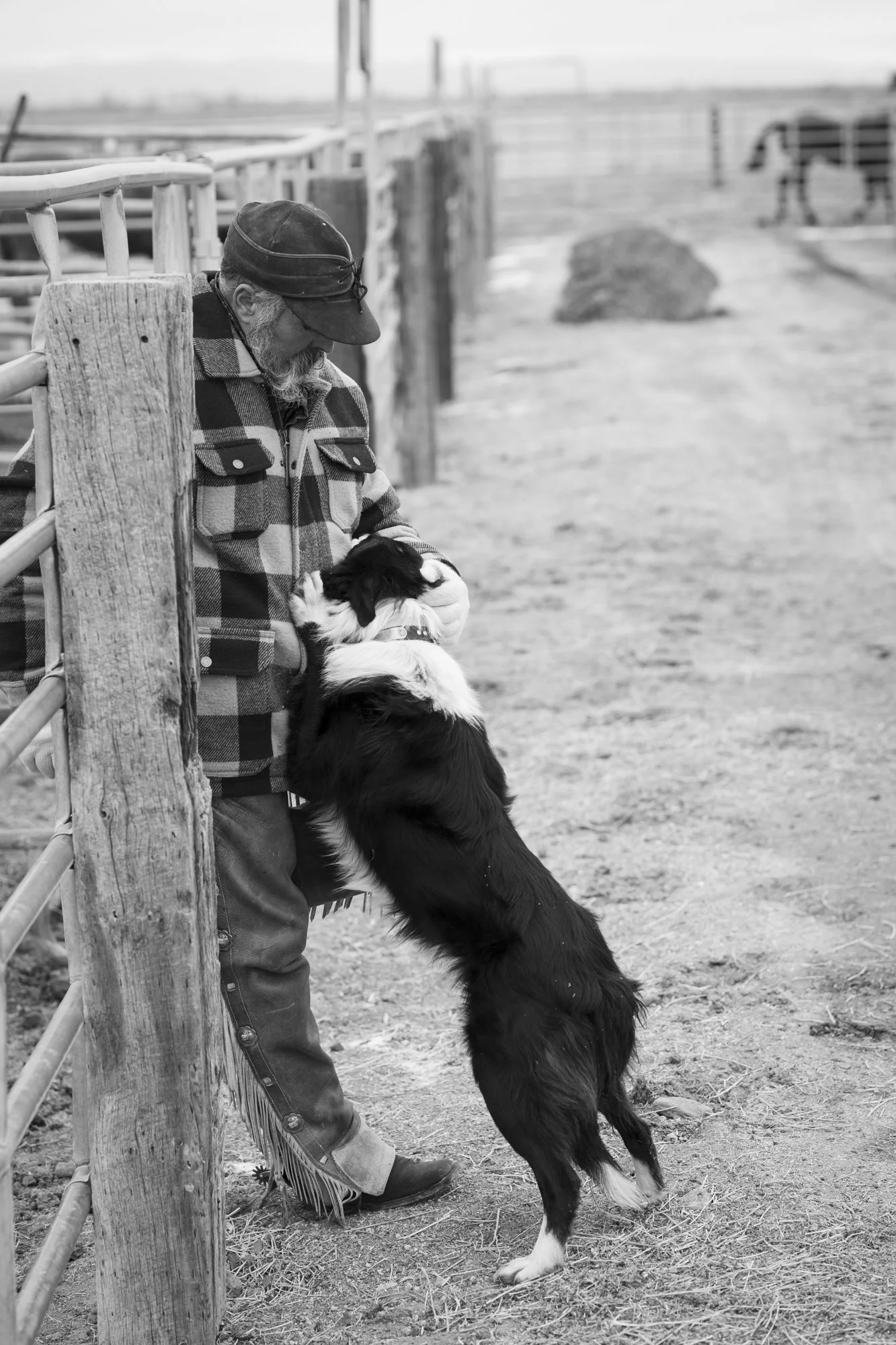 Cpunch Ranch San Diego Photographer
