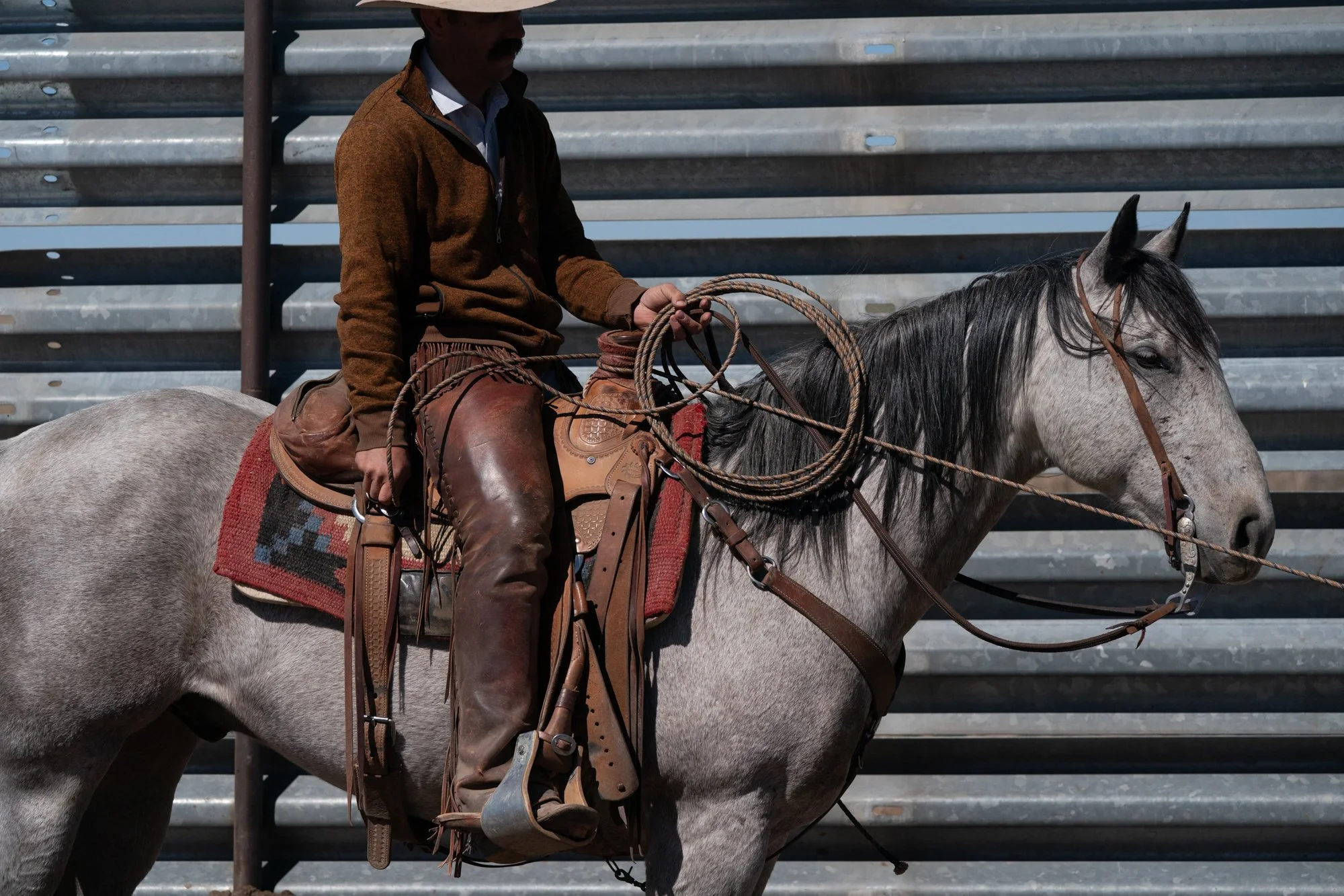Pen rider sits on a gray horse with a coiled rope at Magnum Feedyard in Colorado