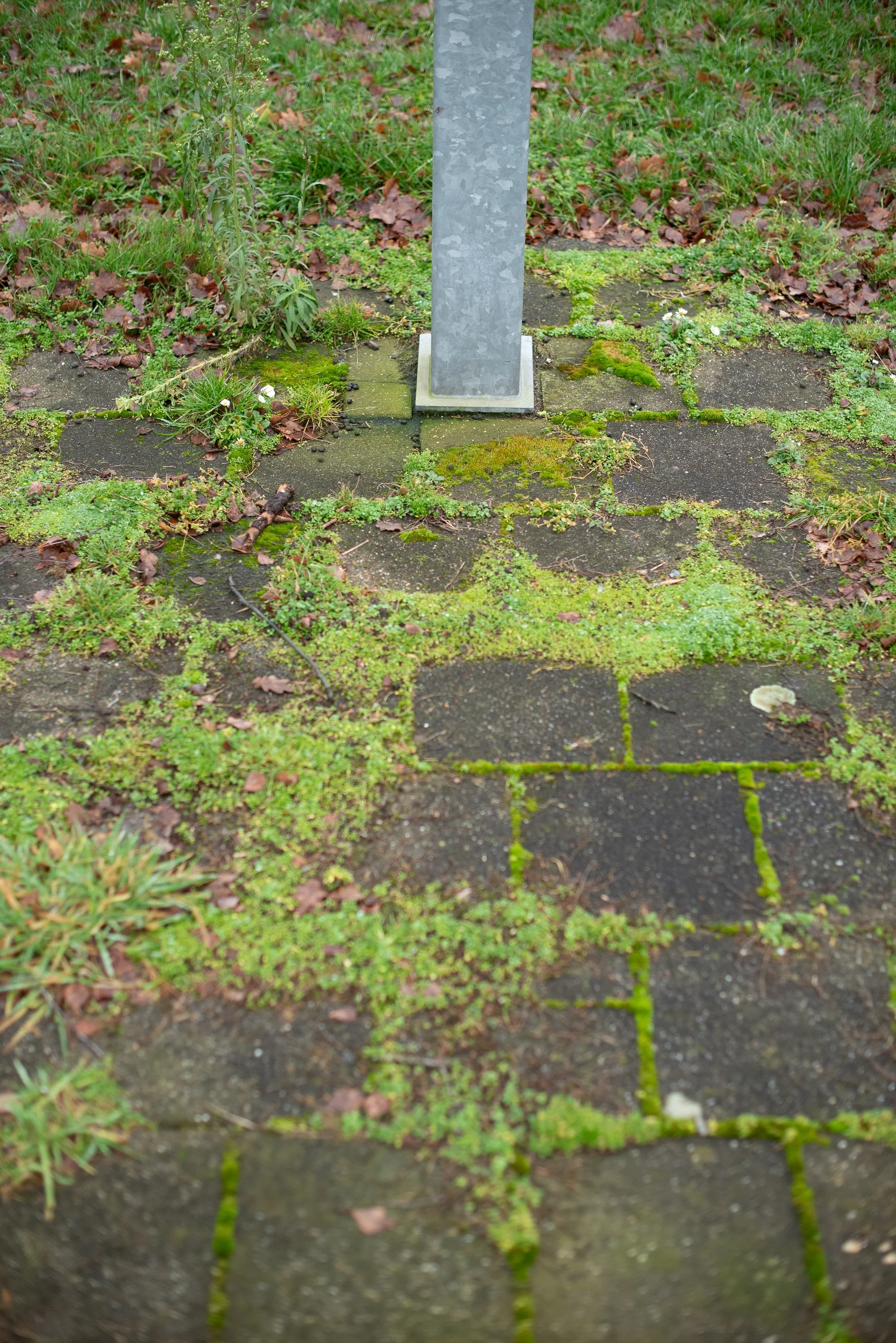 Close-up of a basketball hoop pole anchored into moss-covered stone on an outdoor European court.