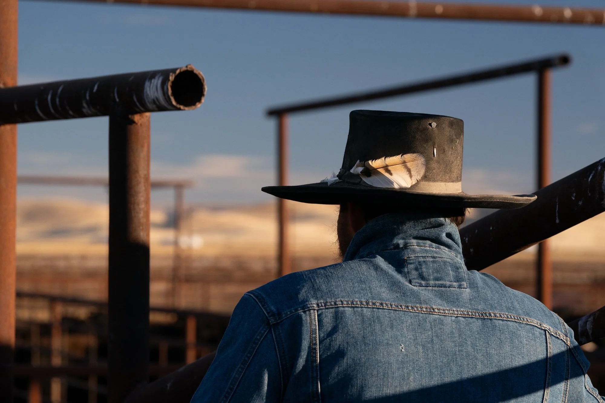 Close-up of buckaroo hat in early morning light at TS Ranch