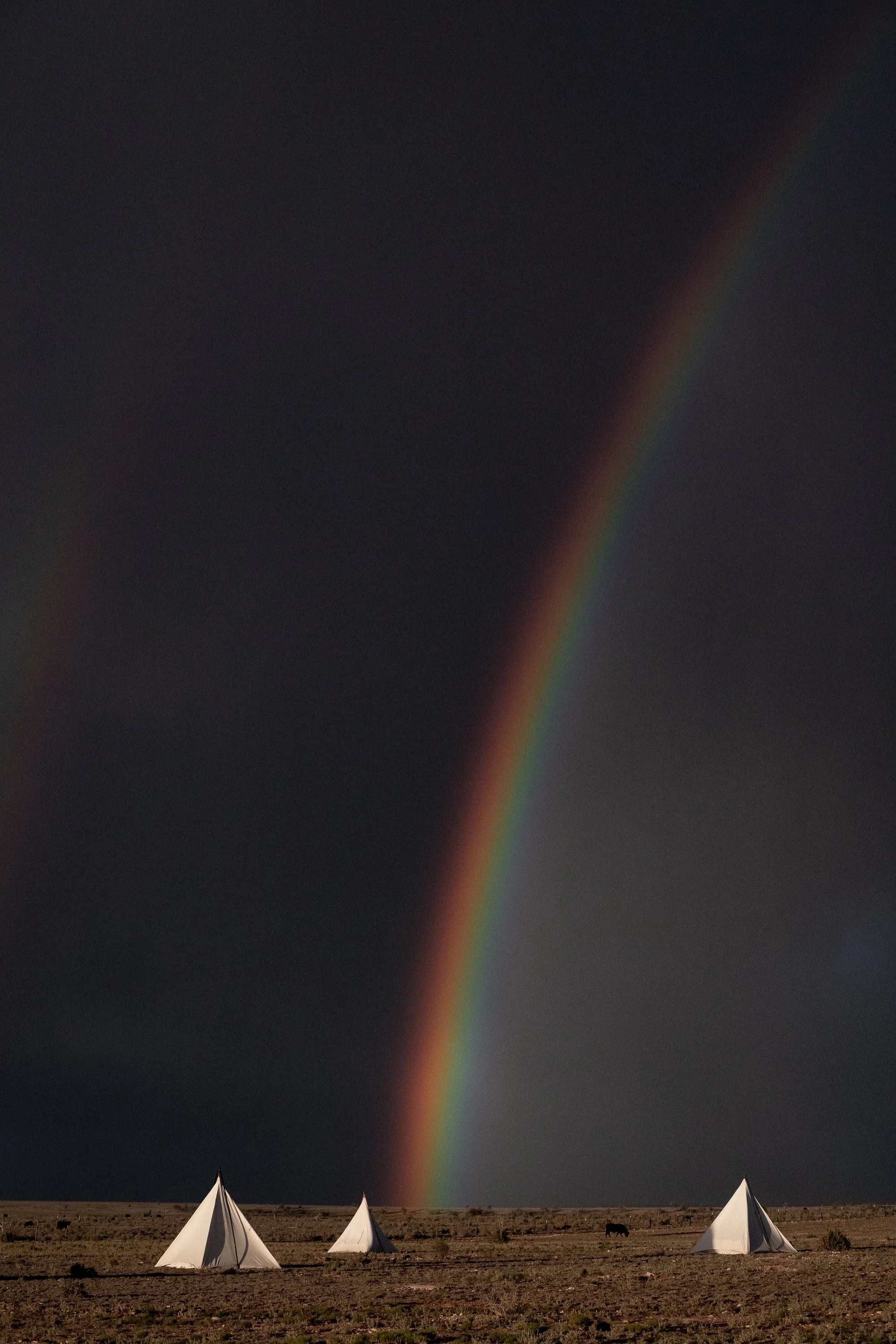 Tents and cattle beneath a rainbow on open ranch land in the American West