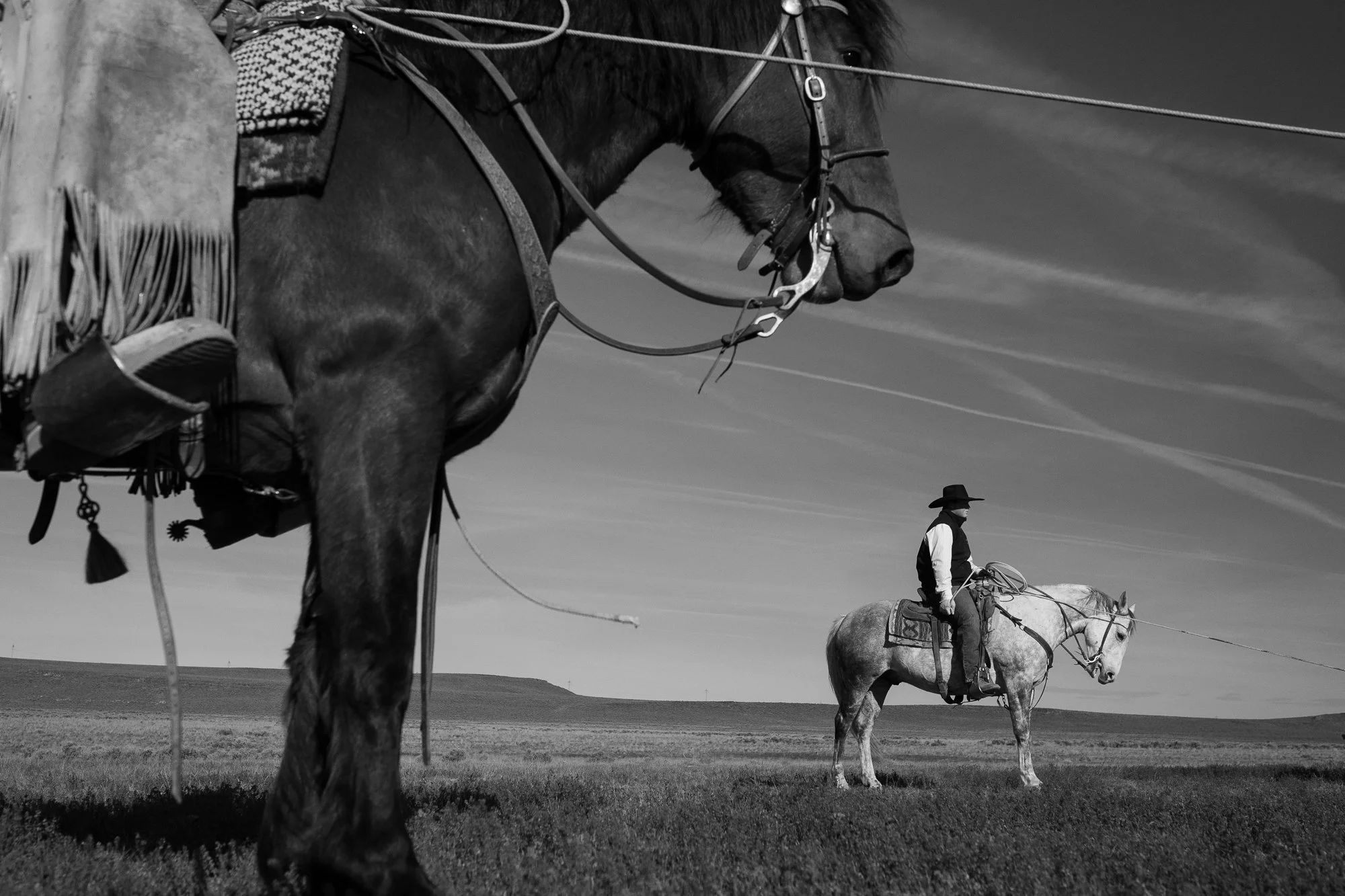 A black and white ranch scene with one horse in the foreground and a cowboy on horseback in the distance