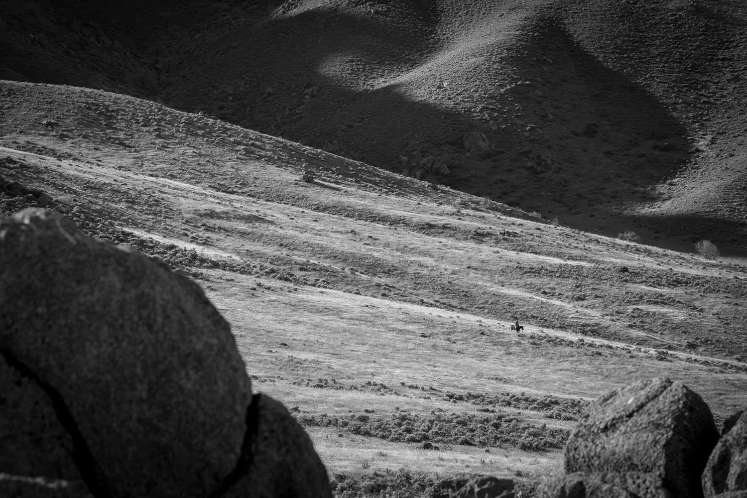 Cpunch Ranch C-Punch Ranch Nevada Photos – Working Cowboys of the Great Basin — Rob ...