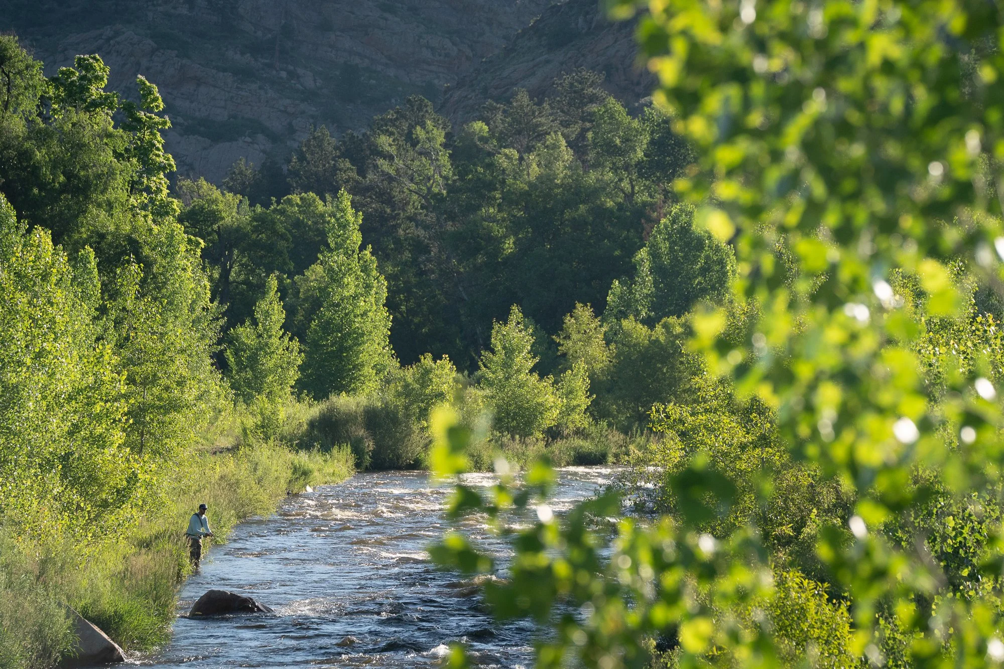 An angler stands in the Big Thompson River surrounded by trees and canyon rock during a Duck Camp fly fishing shoot