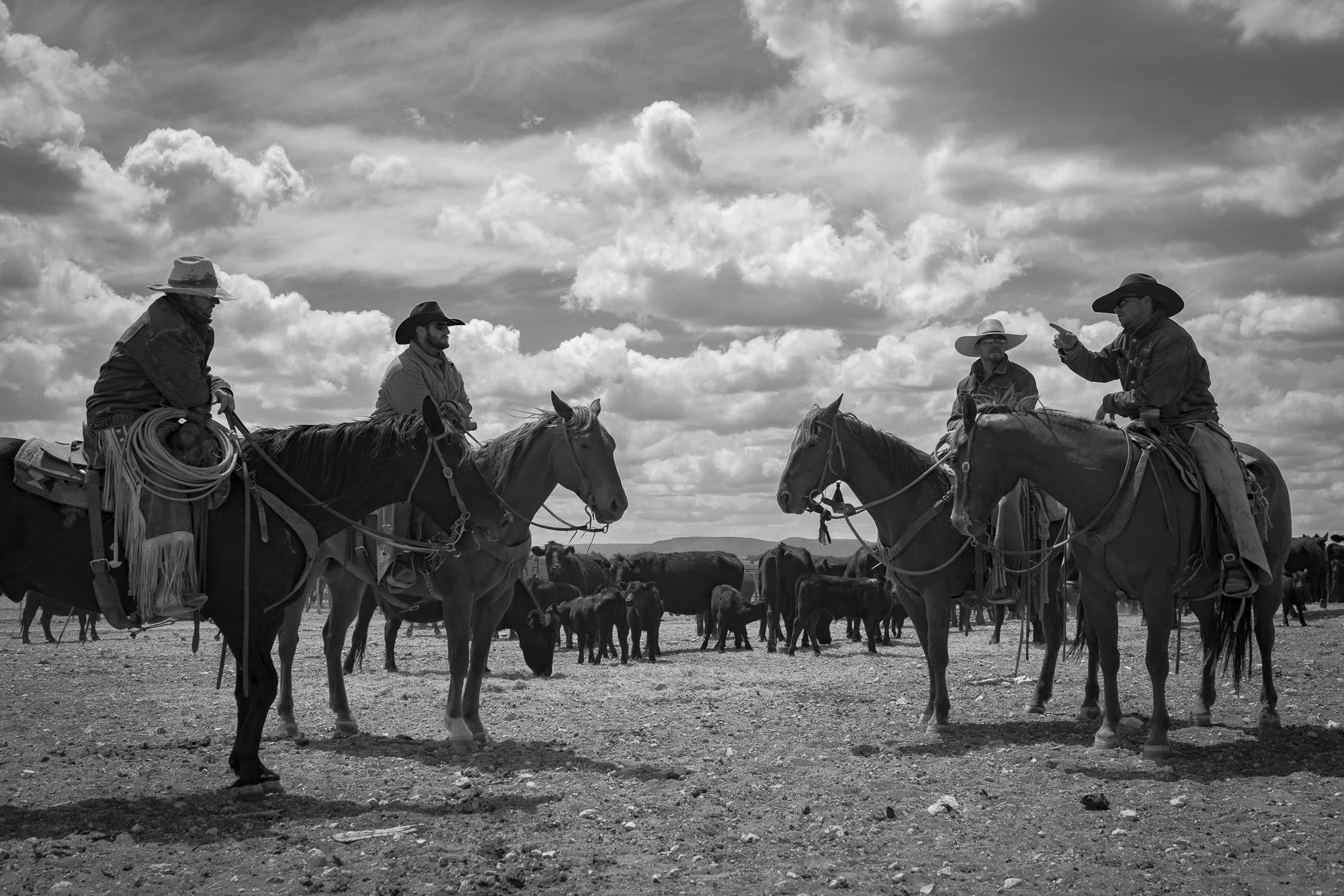 Working cowboys on horseback gathered near cattle at the Diamond A Ranch