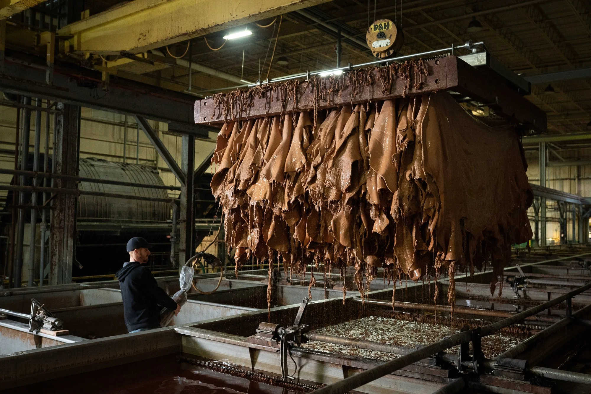 Leather hides hang above tanning vats inside the industrial tannery