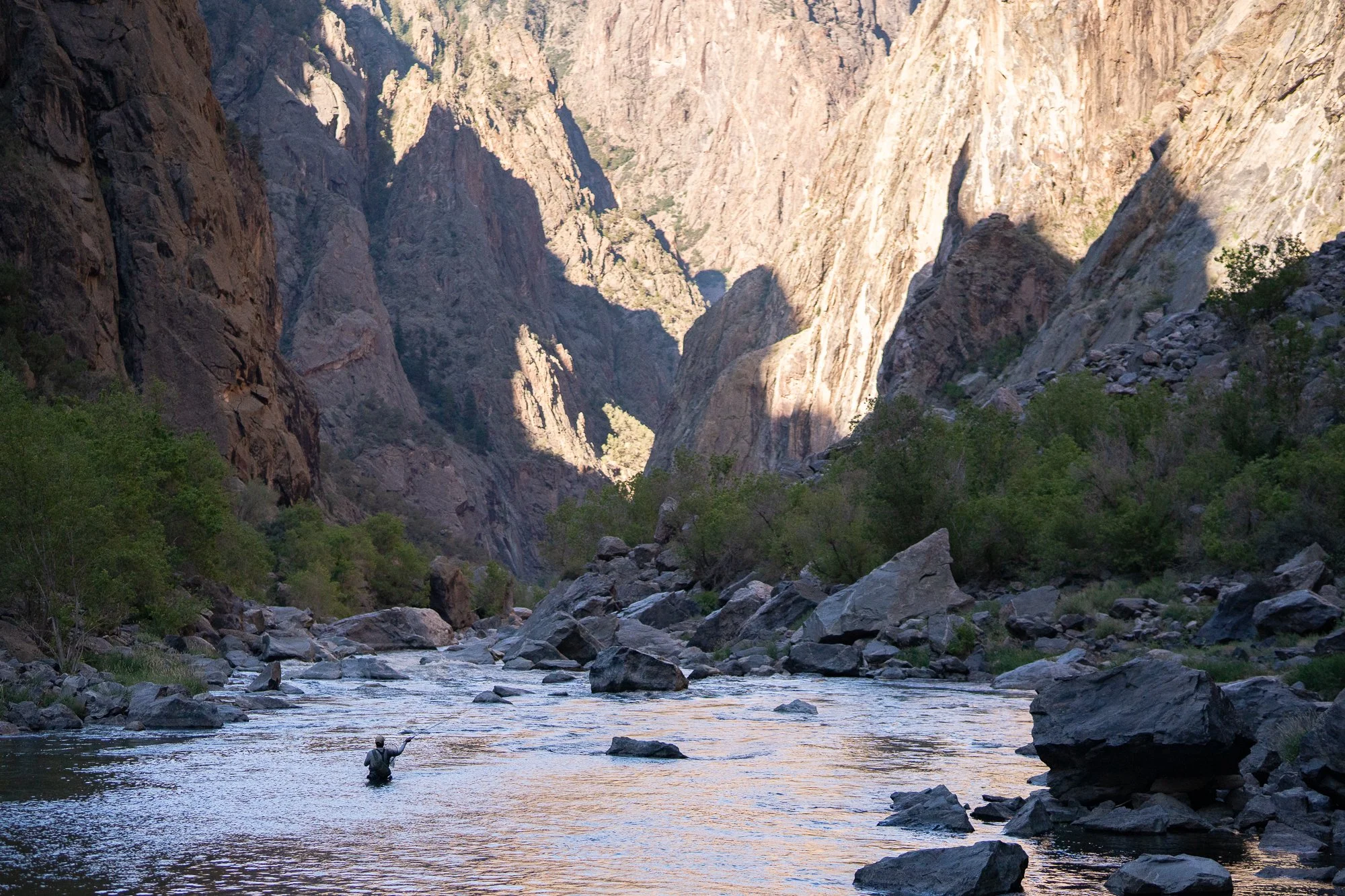 A fly angler fishes the Gunnison River beneath steep canyon walls in the Black Canyon