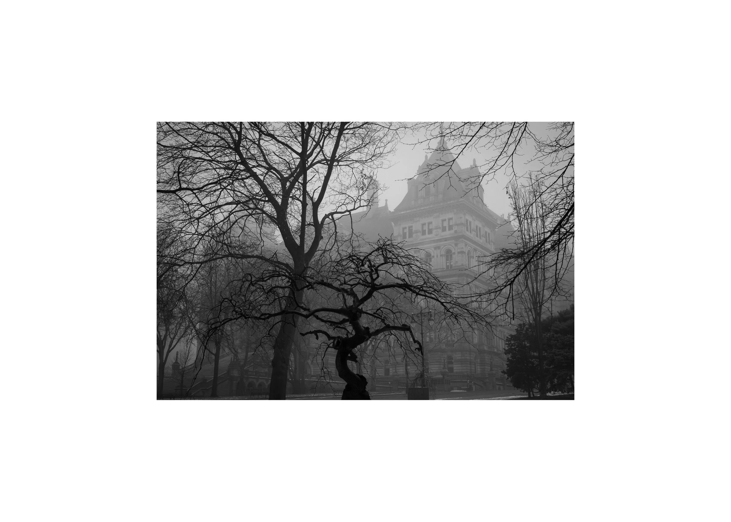Black and white fine art print of the New York State Capitol partially obscured by bare winter trees in fog, Albany, New York