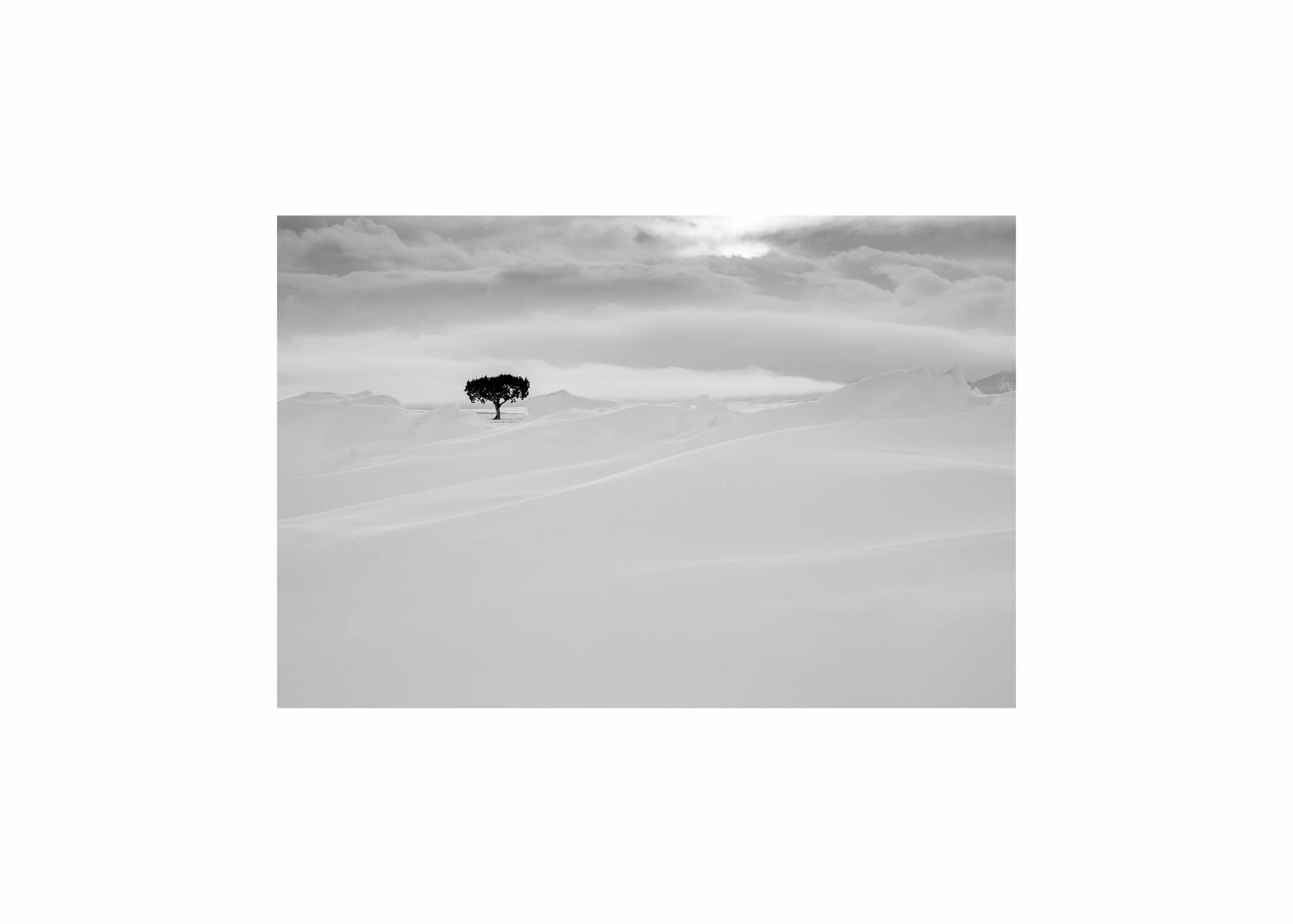 A minimalist black and white photo of a solitary tree in a vast snowy field.