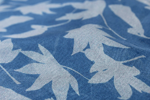 blue-flower-close.gif