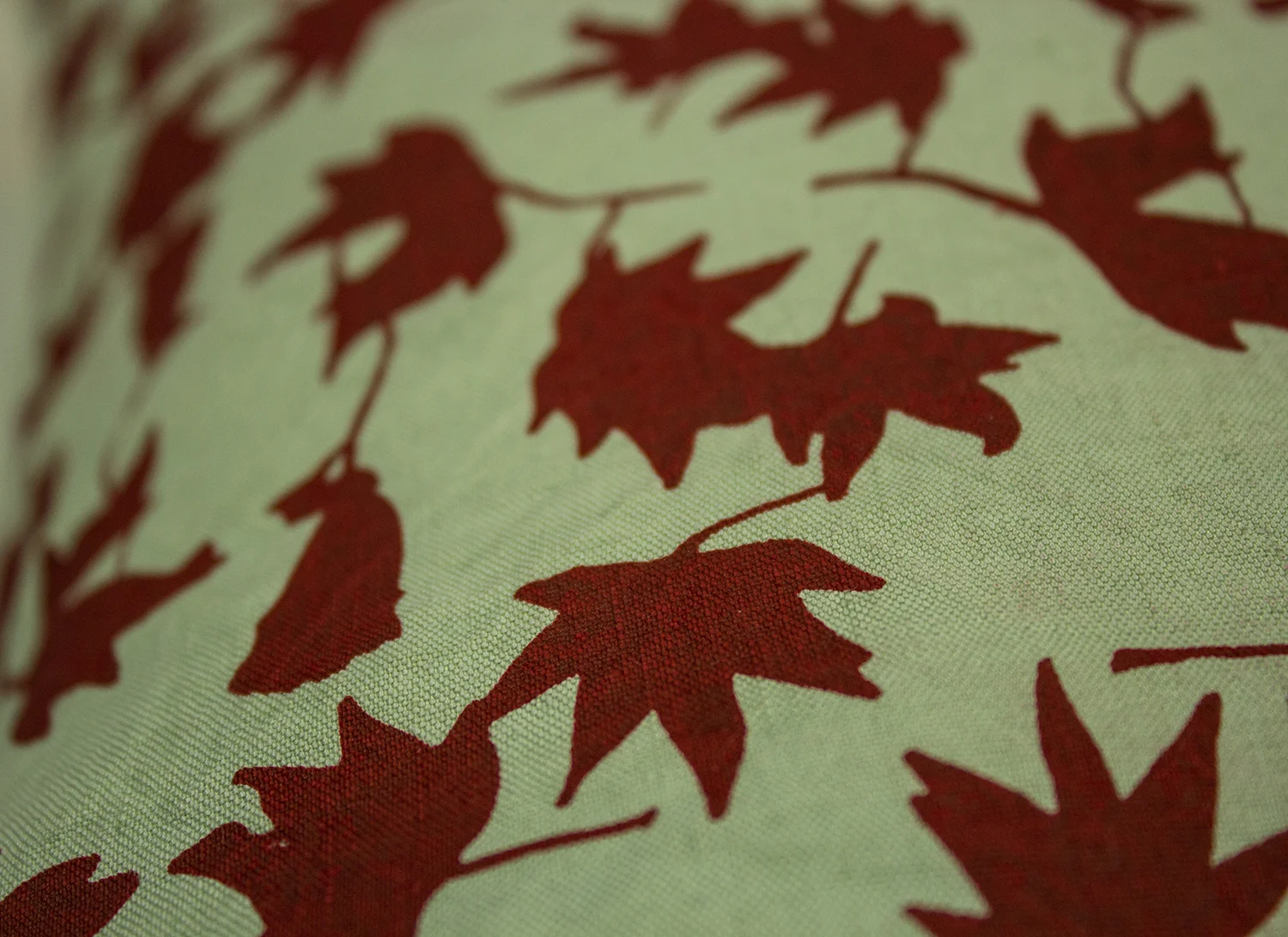 Ipomea close up red.jpg