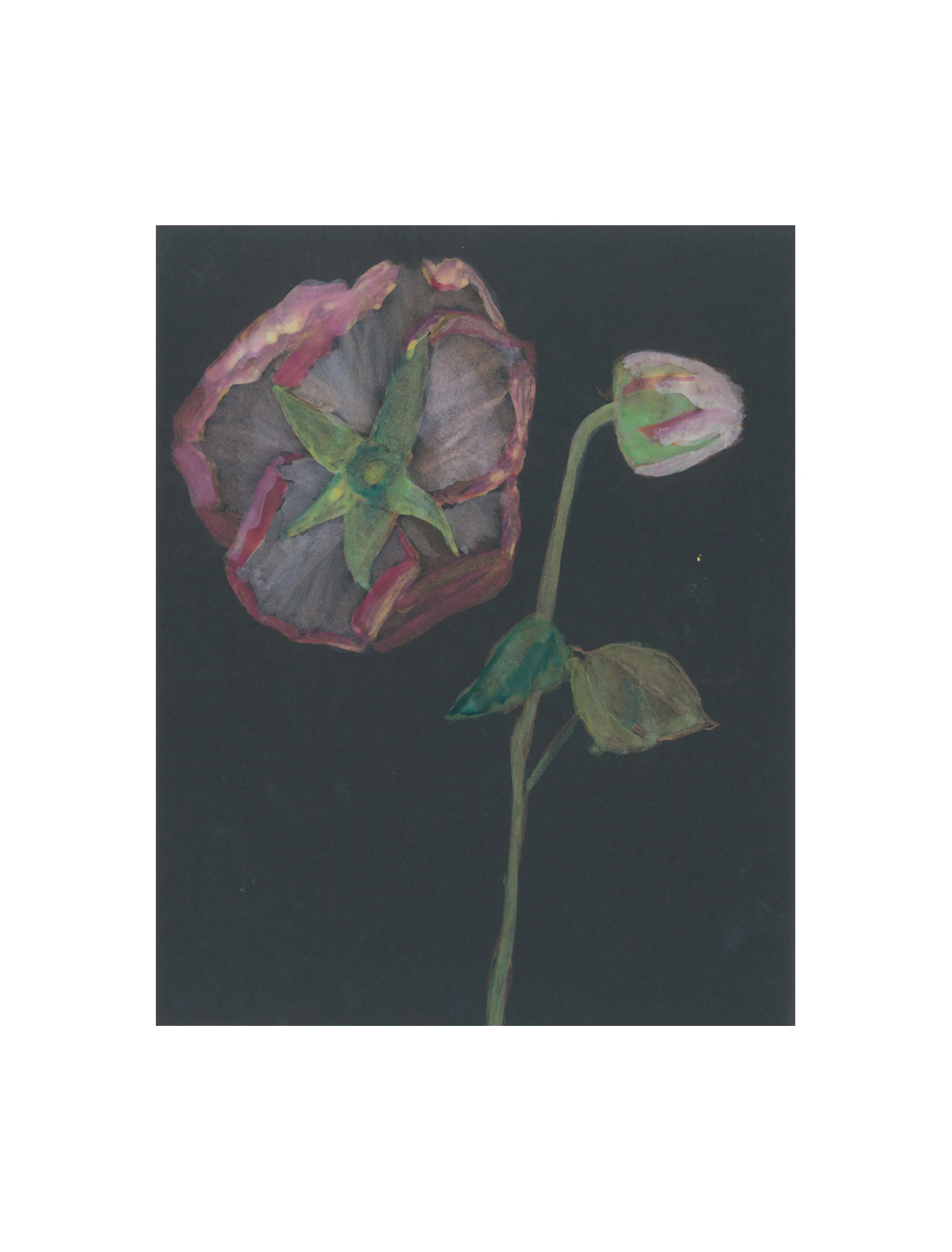 Dark Roses resized.jpg