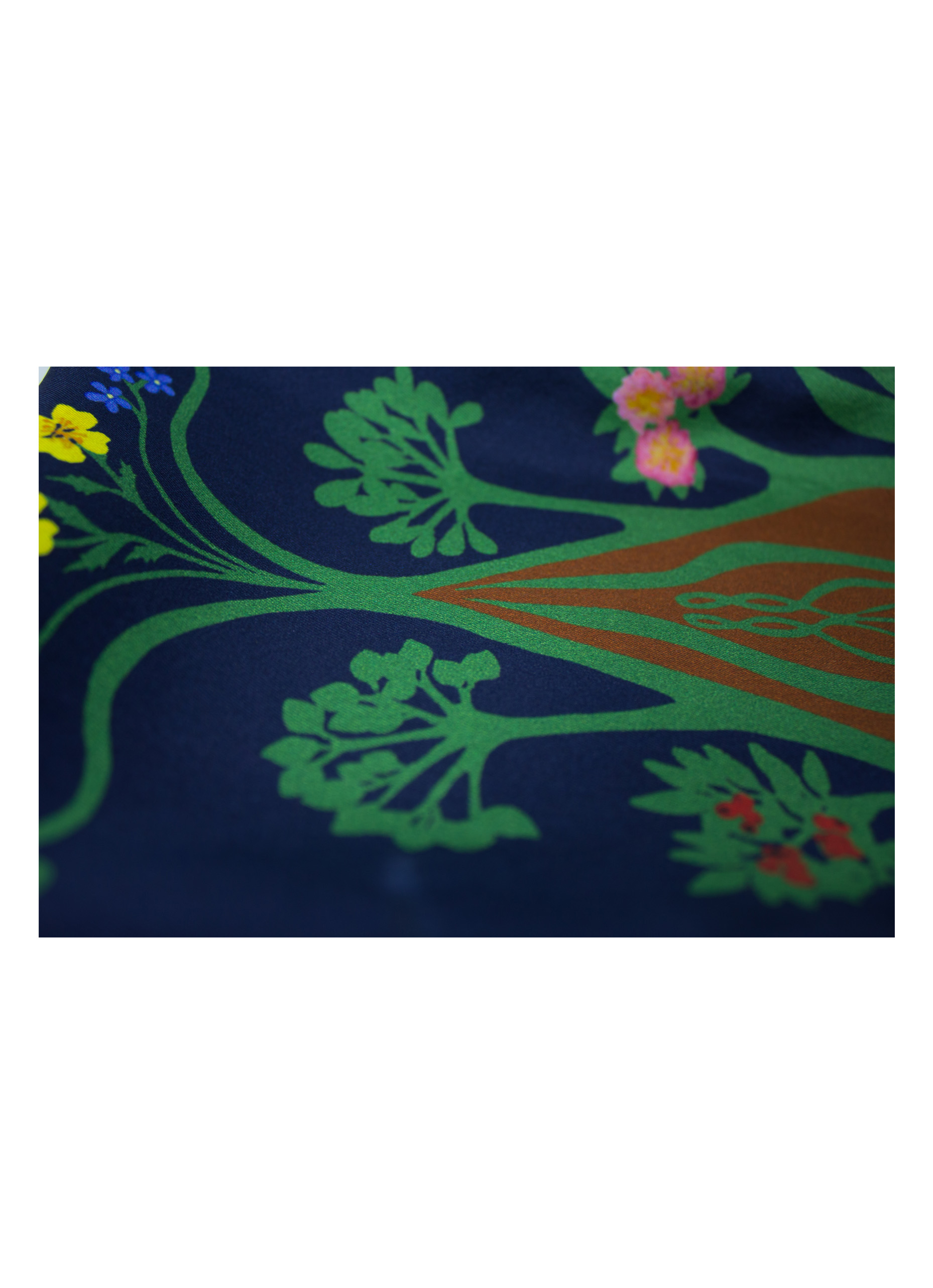 Midnight Silk Close up W.jpg