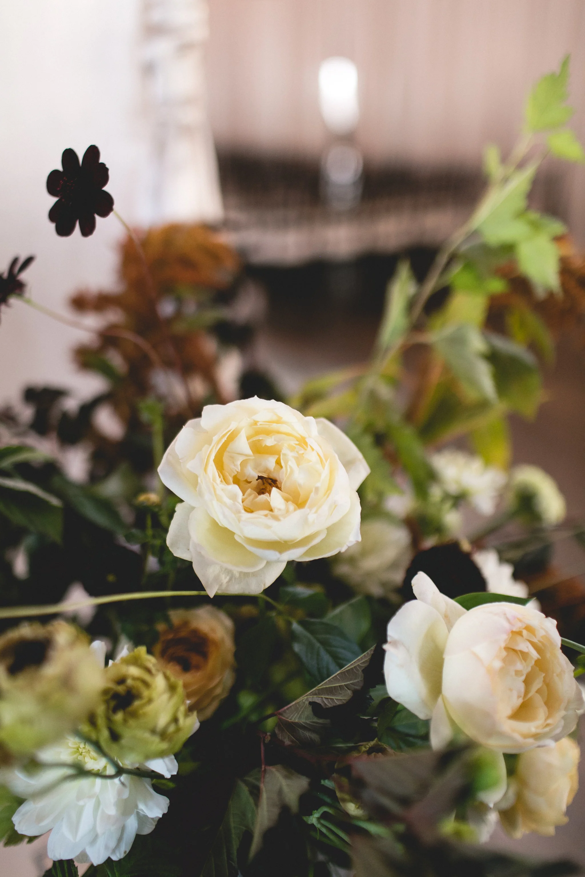 David_Tessa_Ceremony-10.jpg