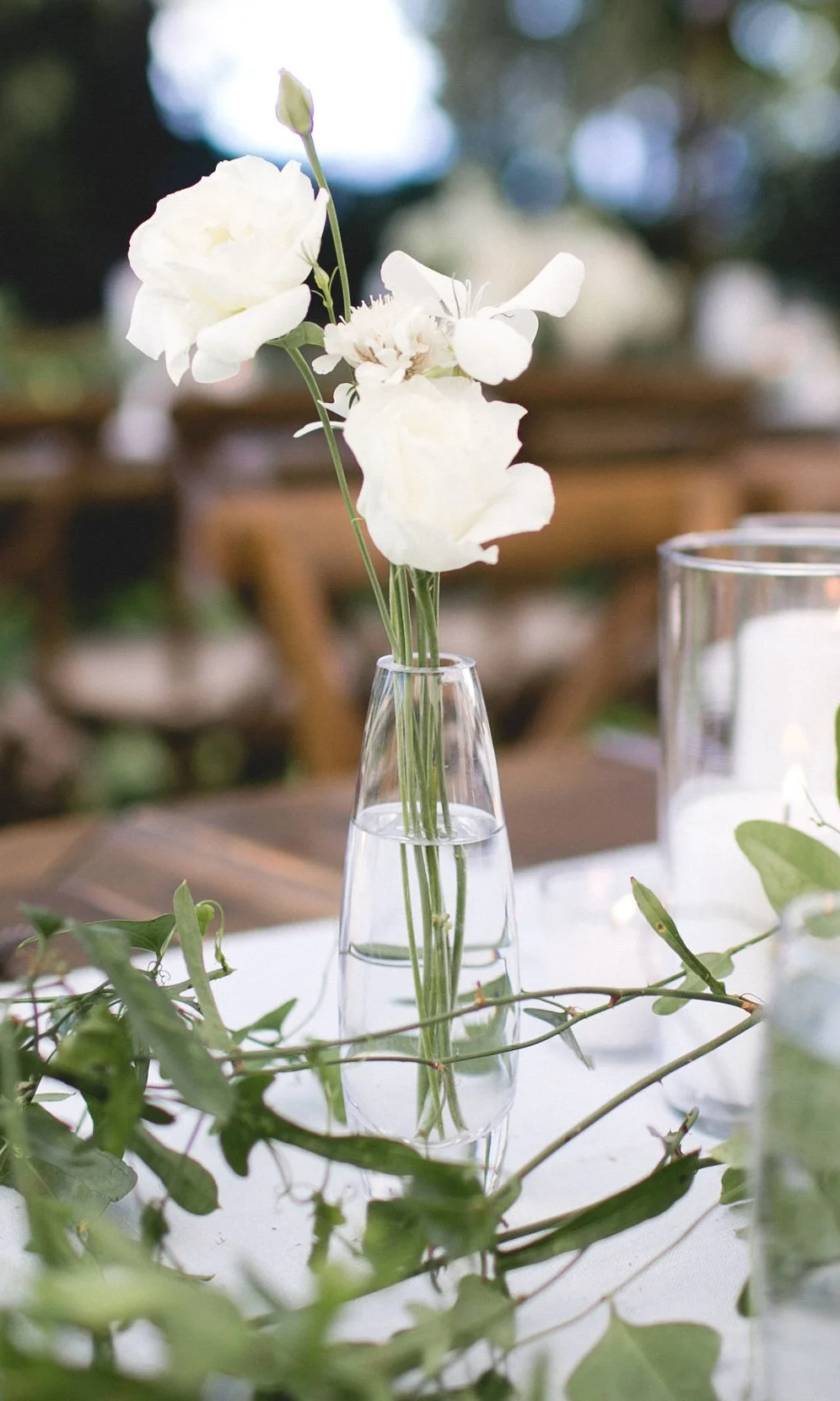 Glass Bud Vases