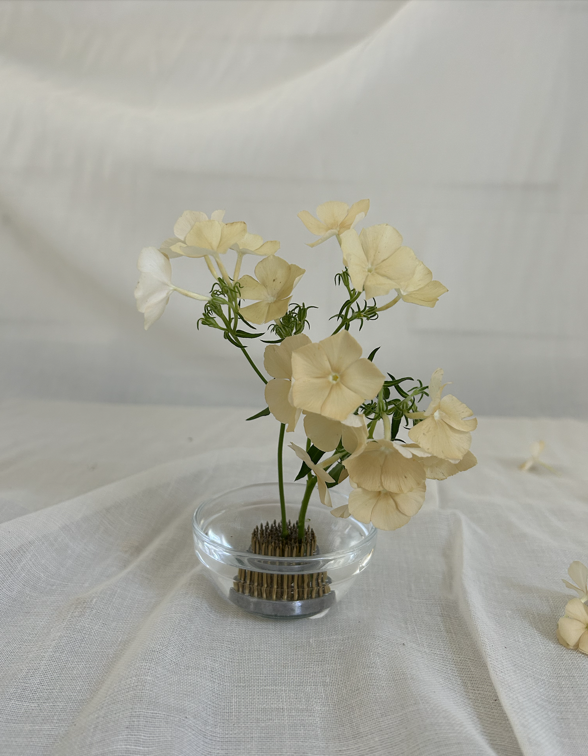 Mini Clear Glass Bowl With Floral Frog