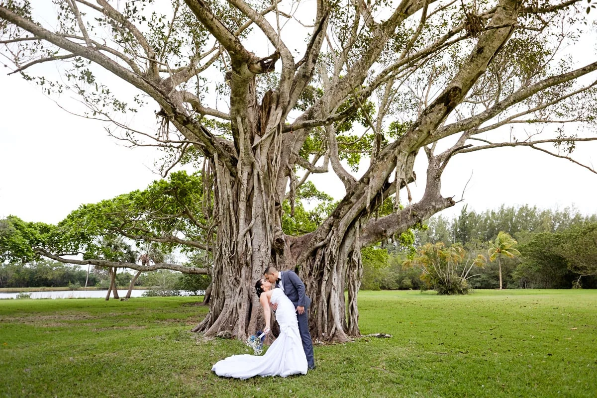 Are Dogs Allowed At Matheson Hammock Park