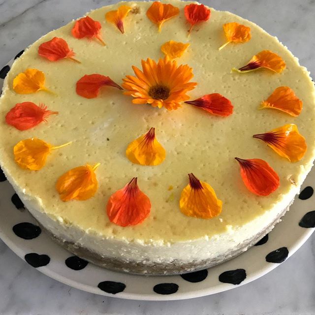 Cheesecake with nasturtiums.
#cheesecake for @rosaacheson leaving for New Orleans party.@davistudio plate