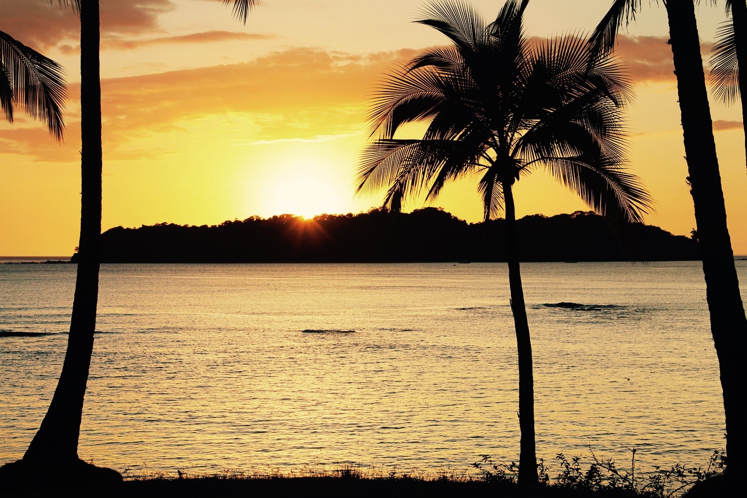 Homepage sunset image (1).jpg