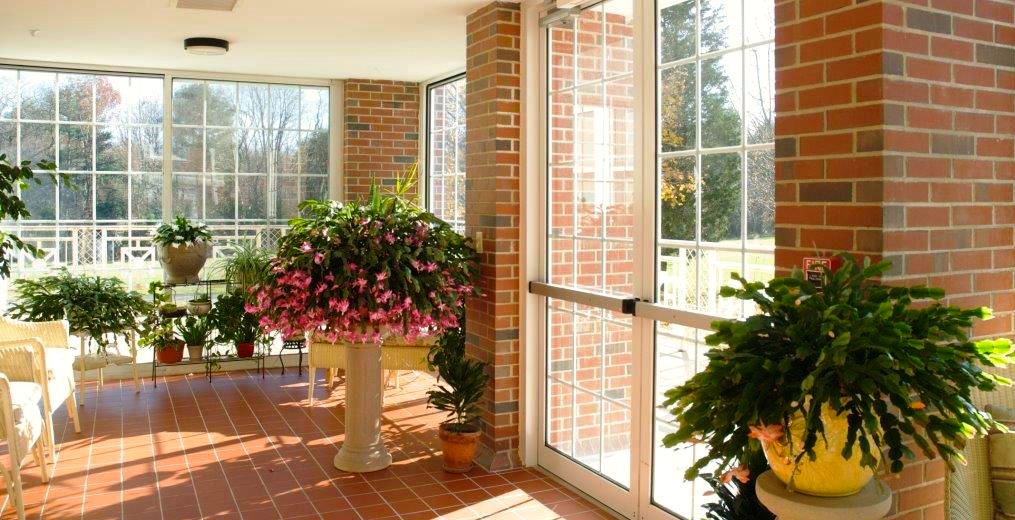 What Makes Us Different? — The Shaw Home