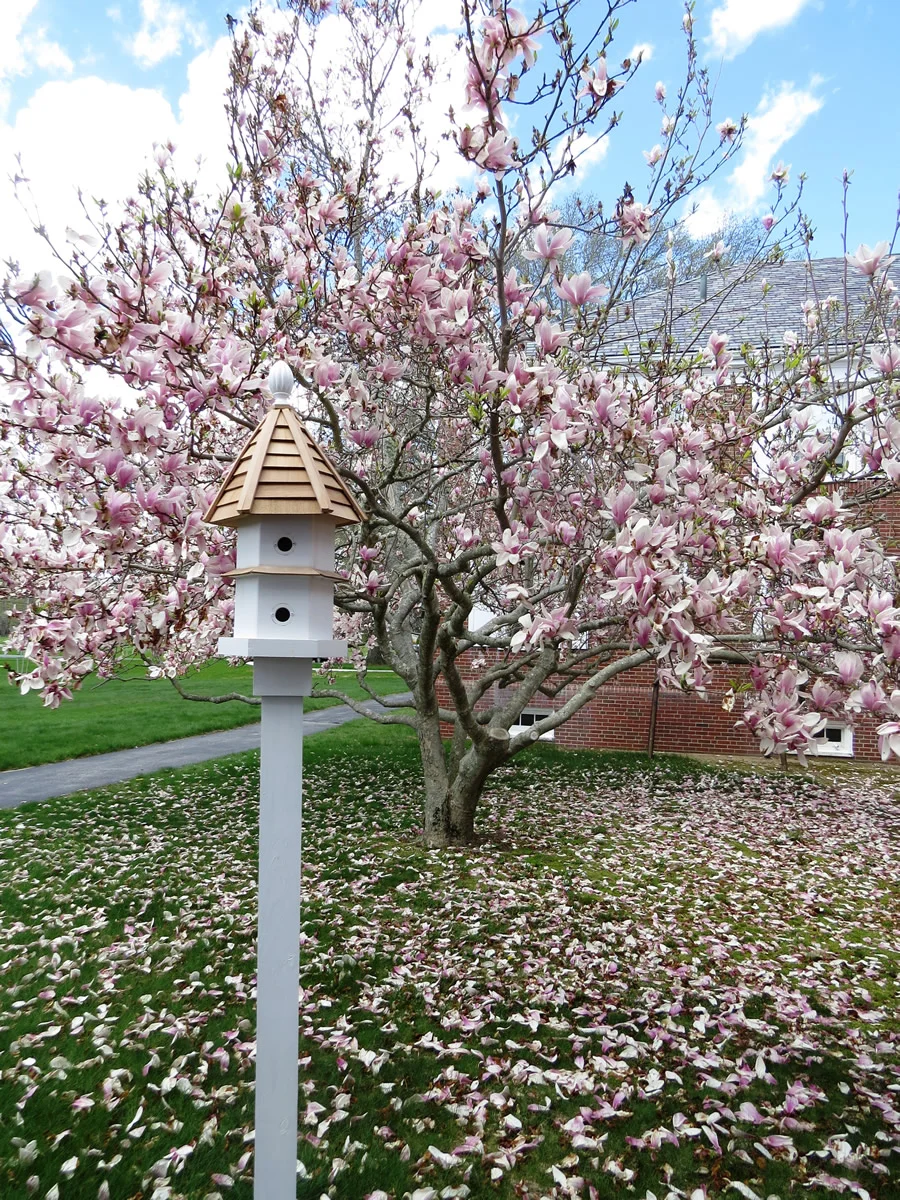 Bird_Feeder_2014.jpg