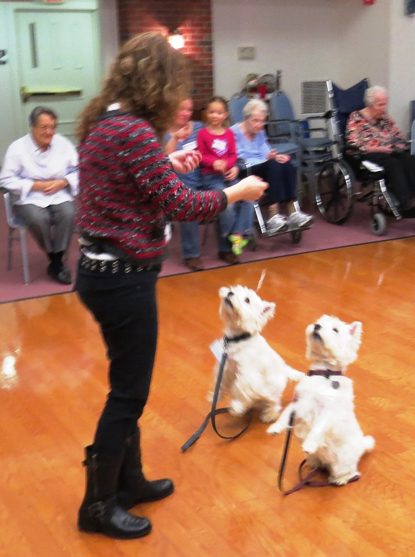 North_River_Dog_Tricks_Jan_2014.jpg