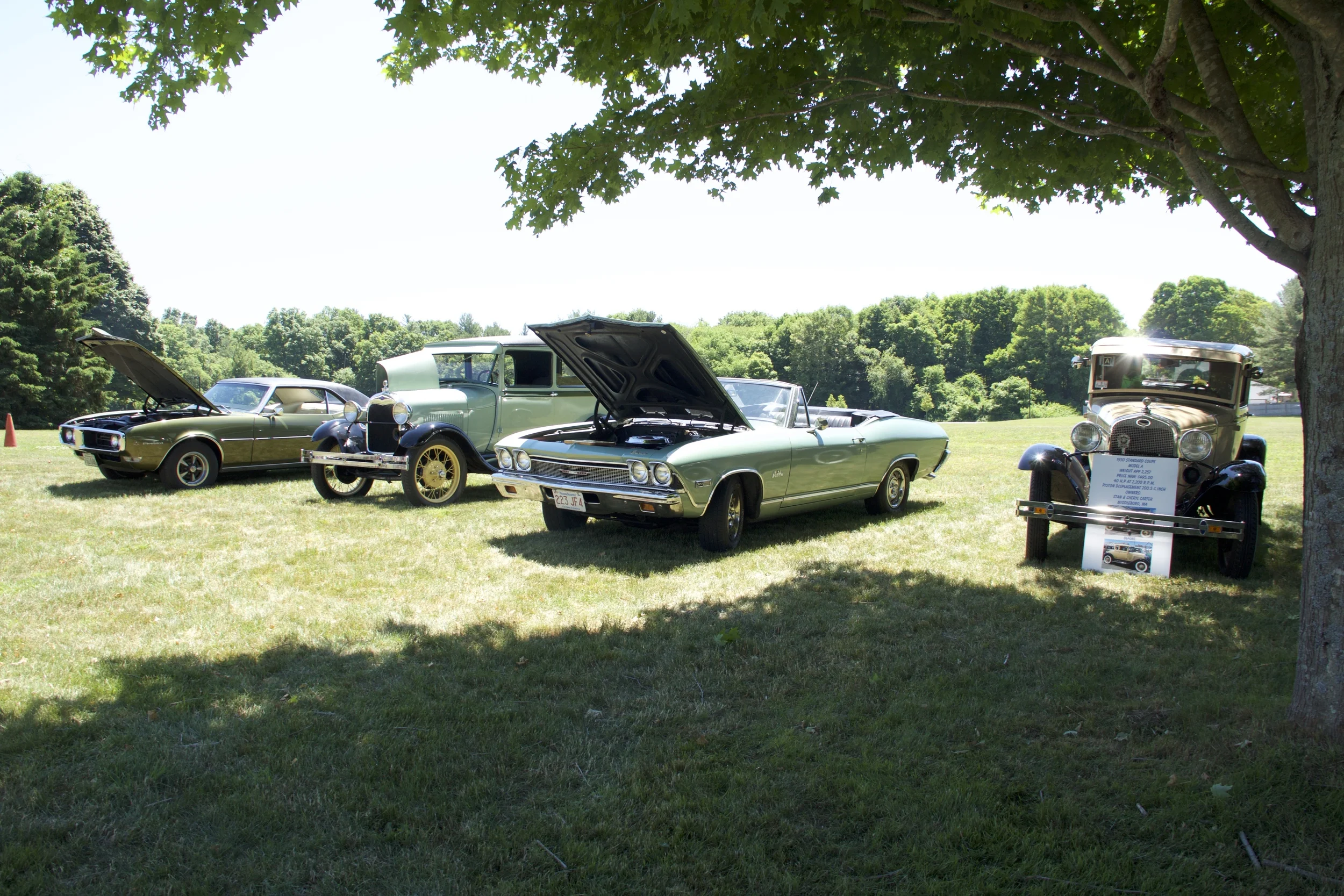 _MG_9565.jpg