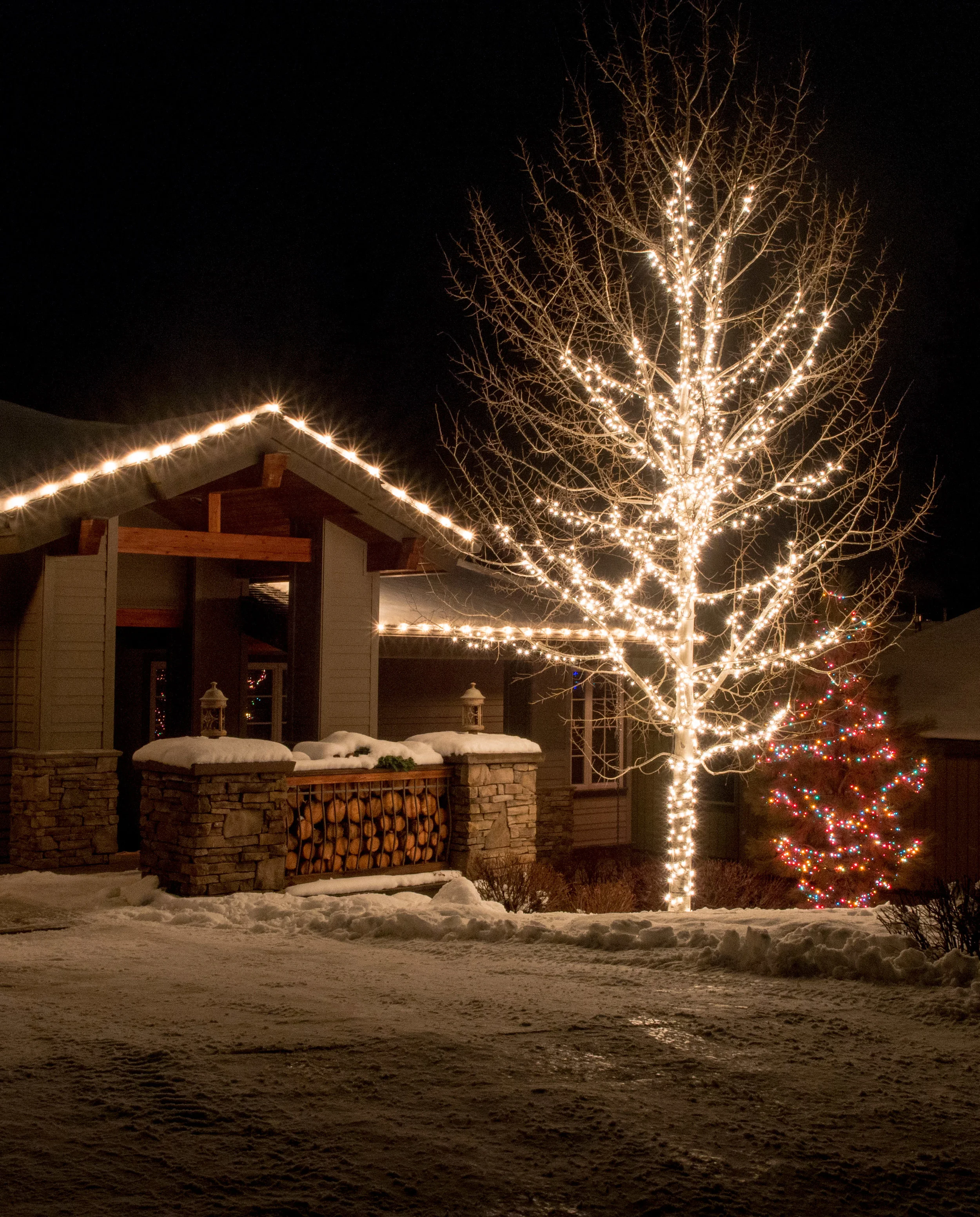 HolidayHelpLights (15 of 17).jpg