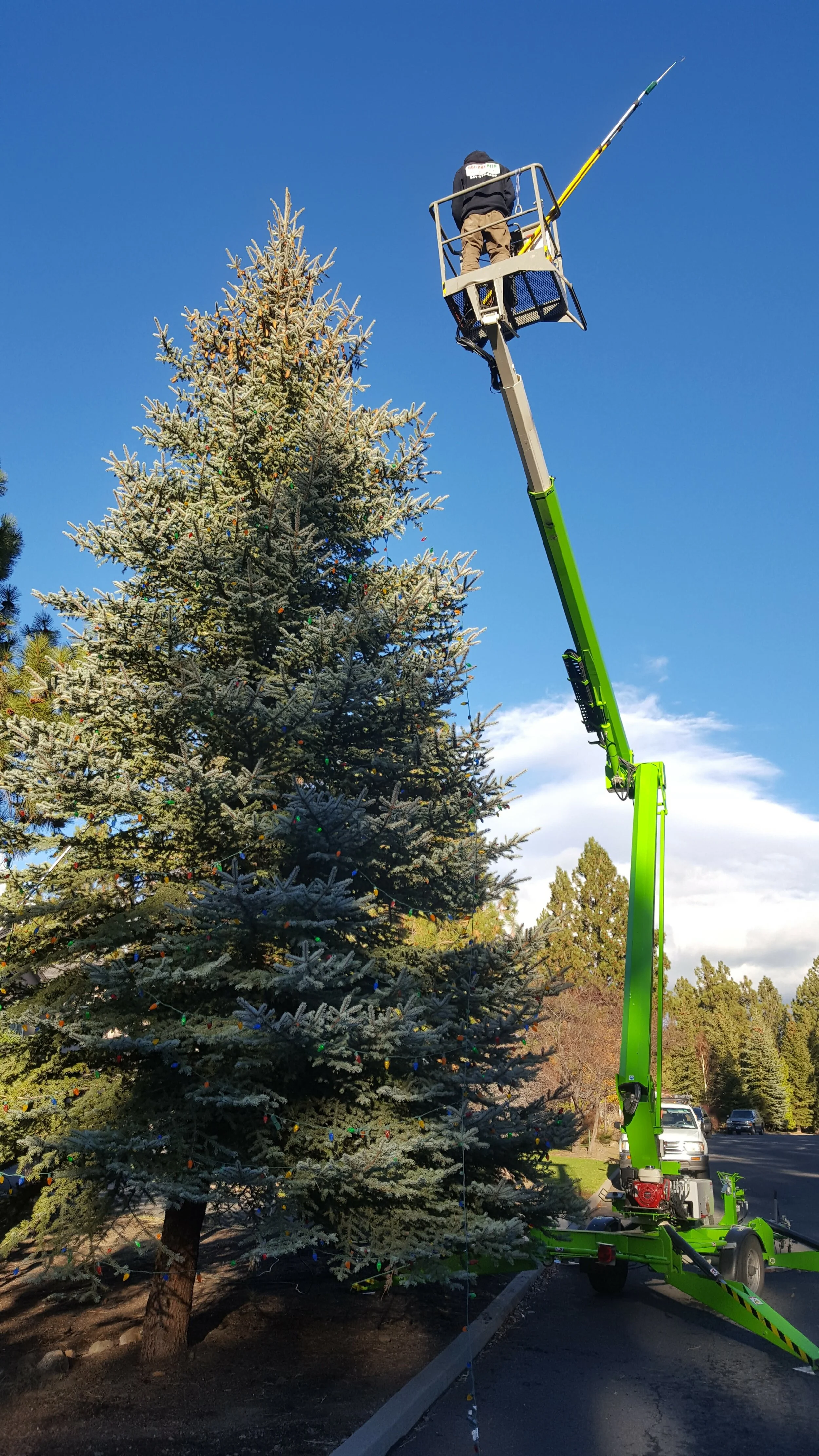 A person in a boom lift decorating a tall Christmas tree with colorful lights on a clear day.