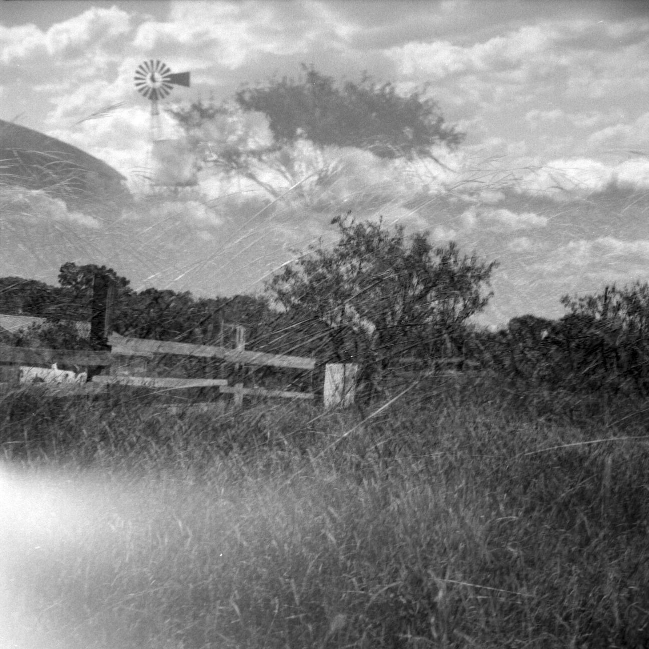 Empireranch (2 of 6).jpg