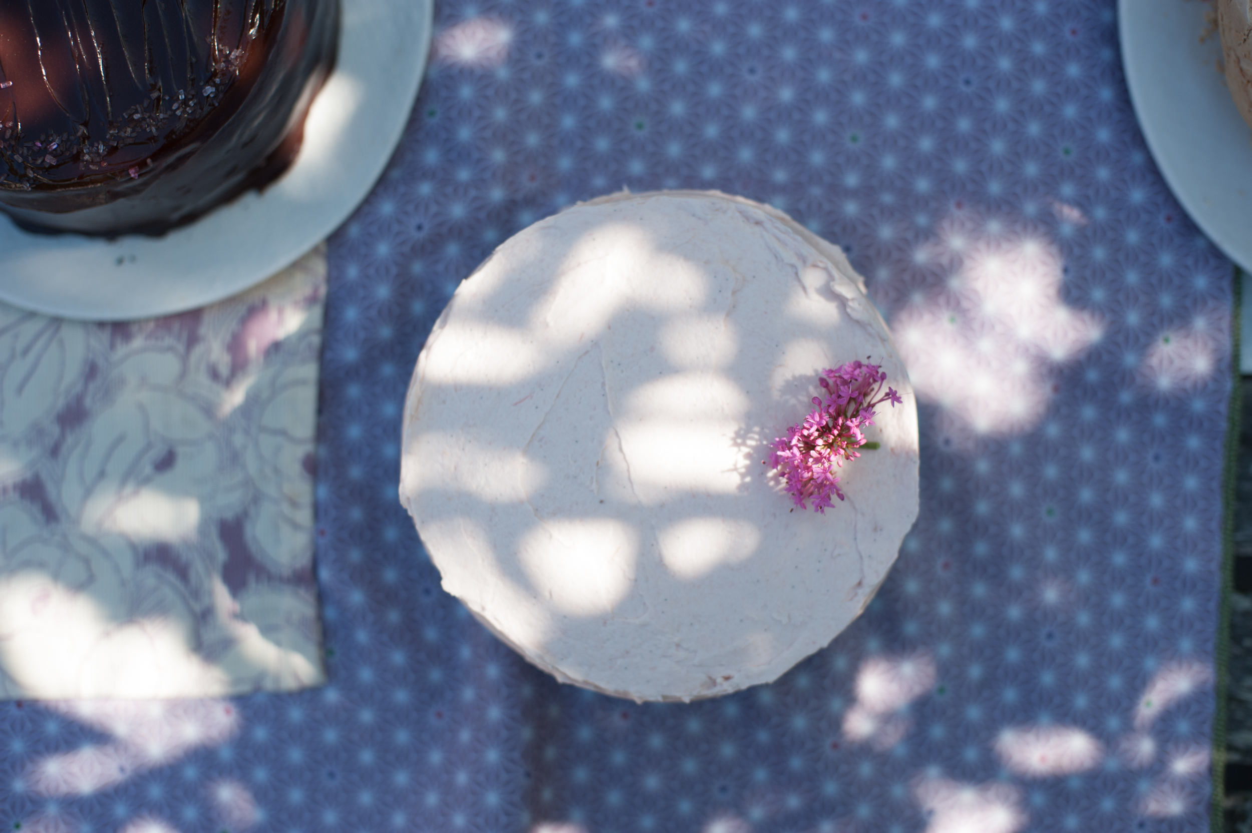 Spring Equinox + Rhubarb Cake!