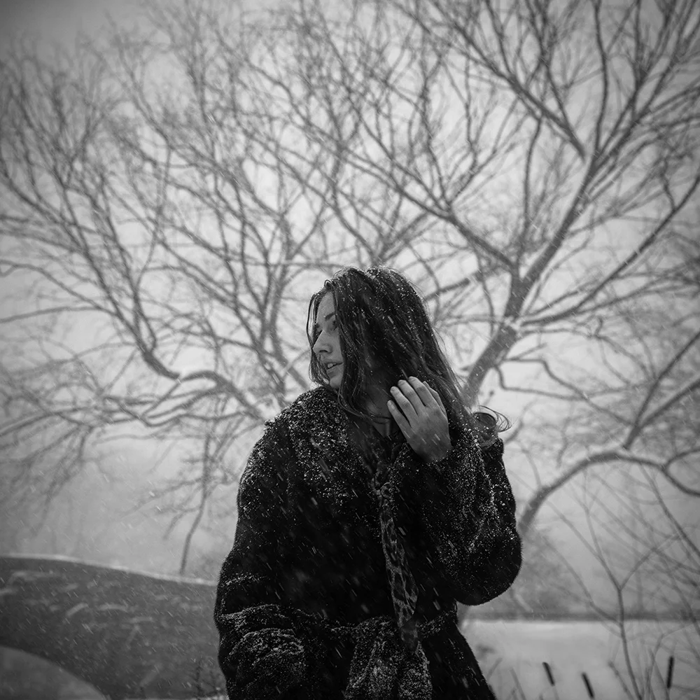 Ann Bird_045_web.jpg