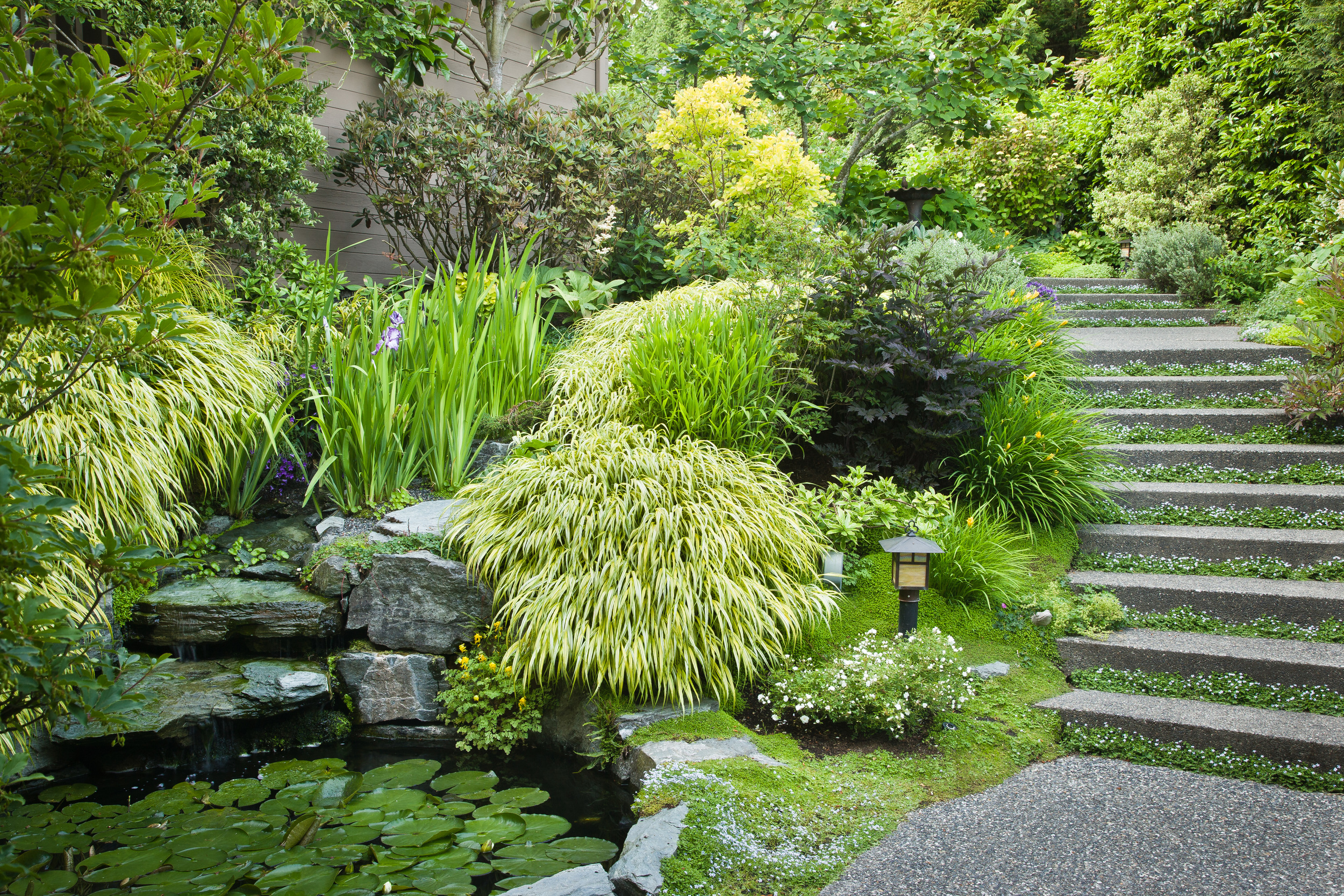 Turner_0905248.jpg