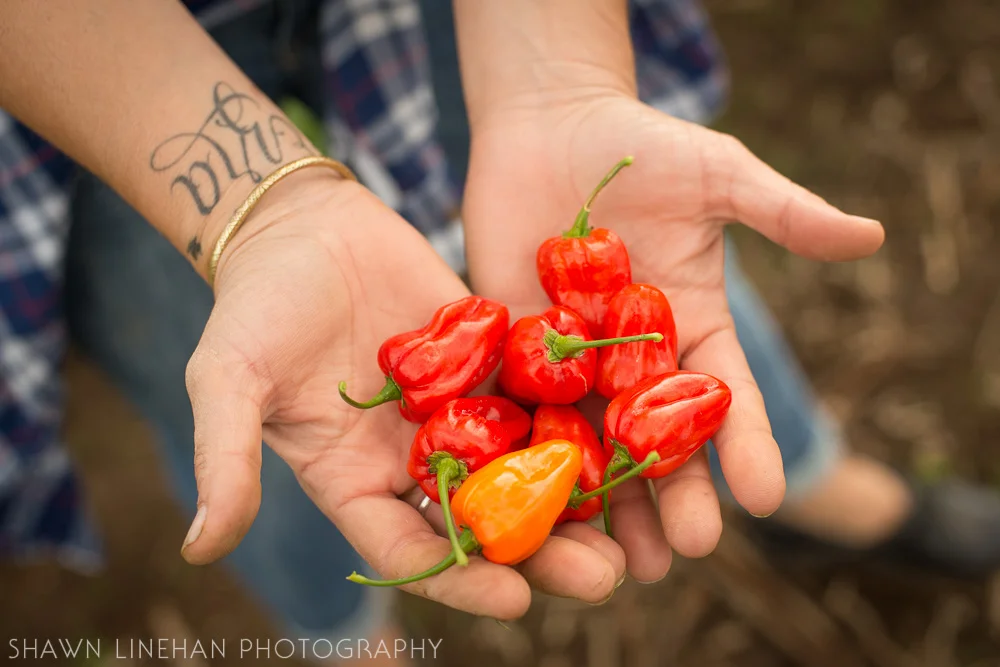 Photo by: Shawn Linehan Photography