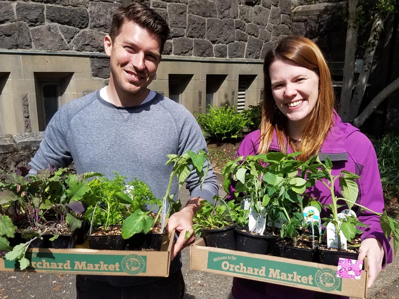 Picking the perfect plants