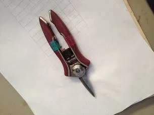 secateurs.jpg