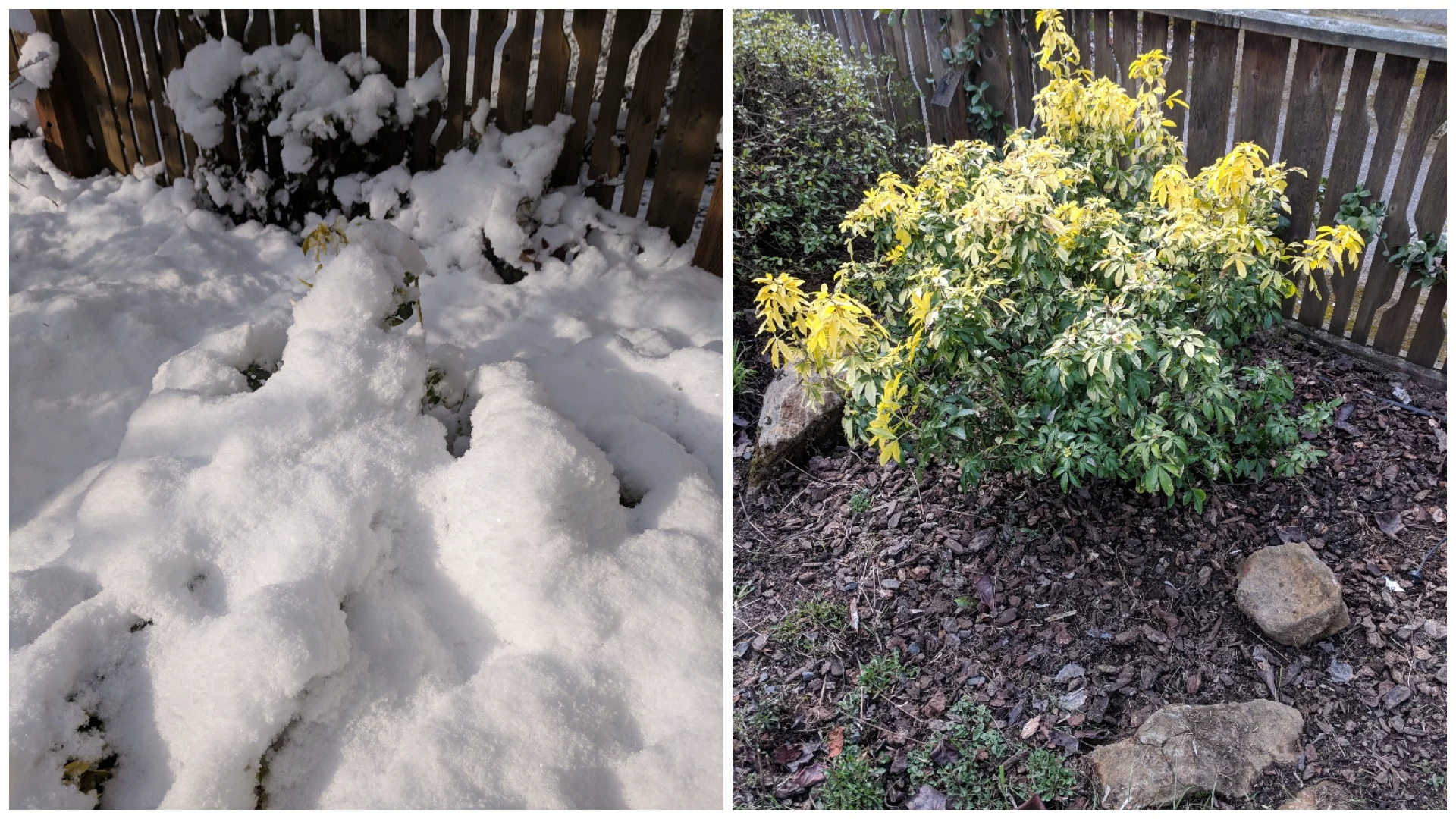What a difference a day makes!