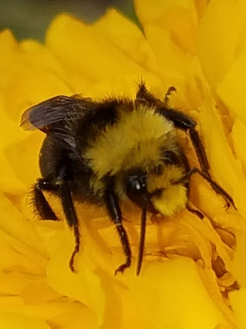 20180703_092804.jpg