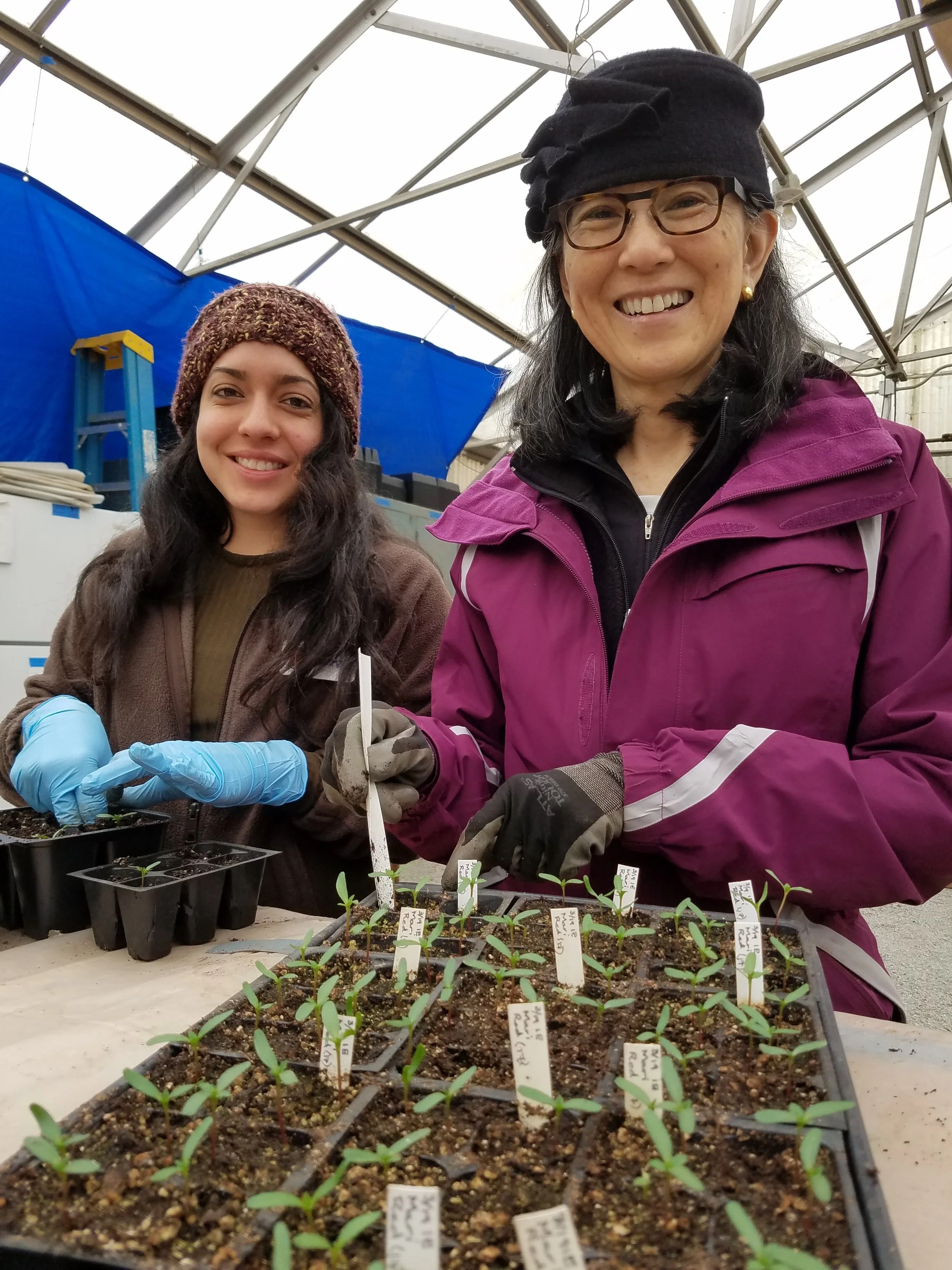 tending the seedlings at our community demonstration garden - photo courtesy of eddie rosen