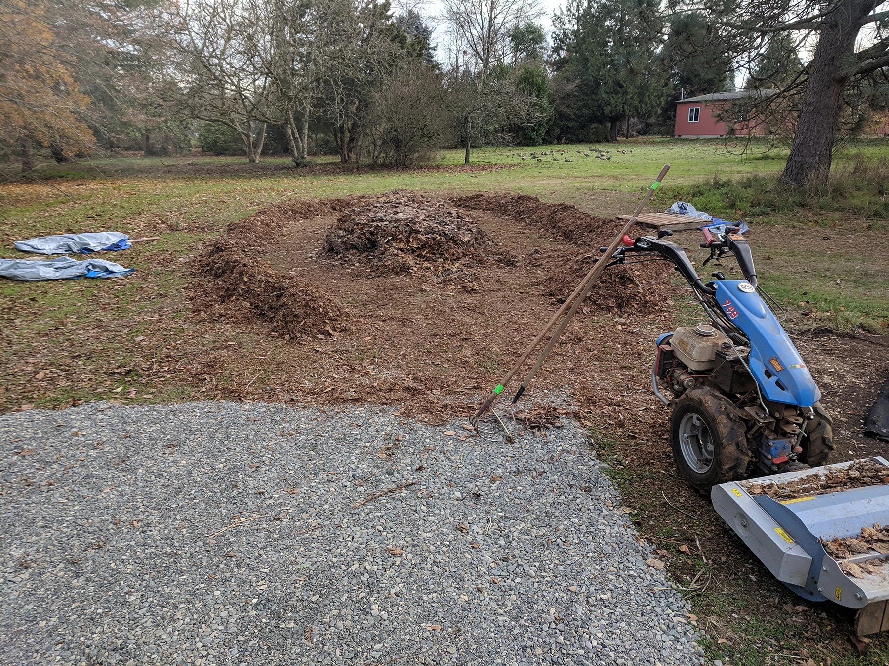 Donated leaves were mulched with a borrowed mower.